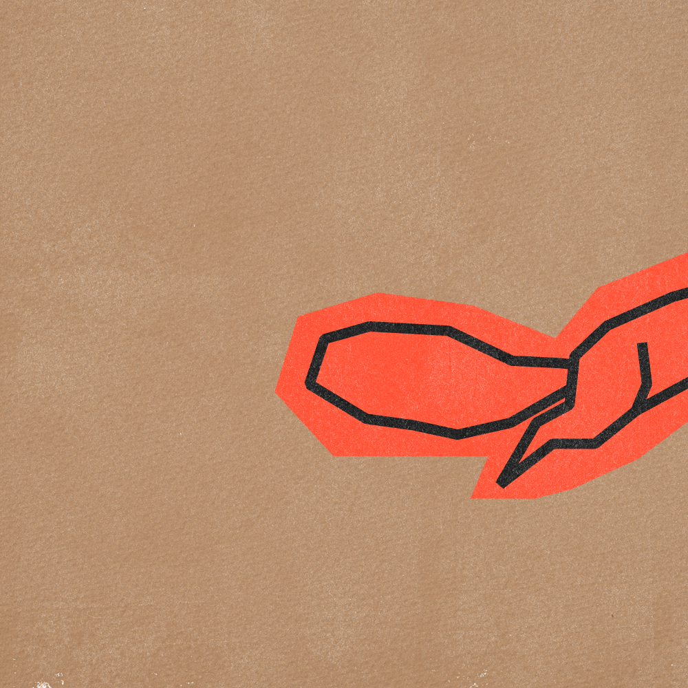 Dont Feed the Squirrels-12.png