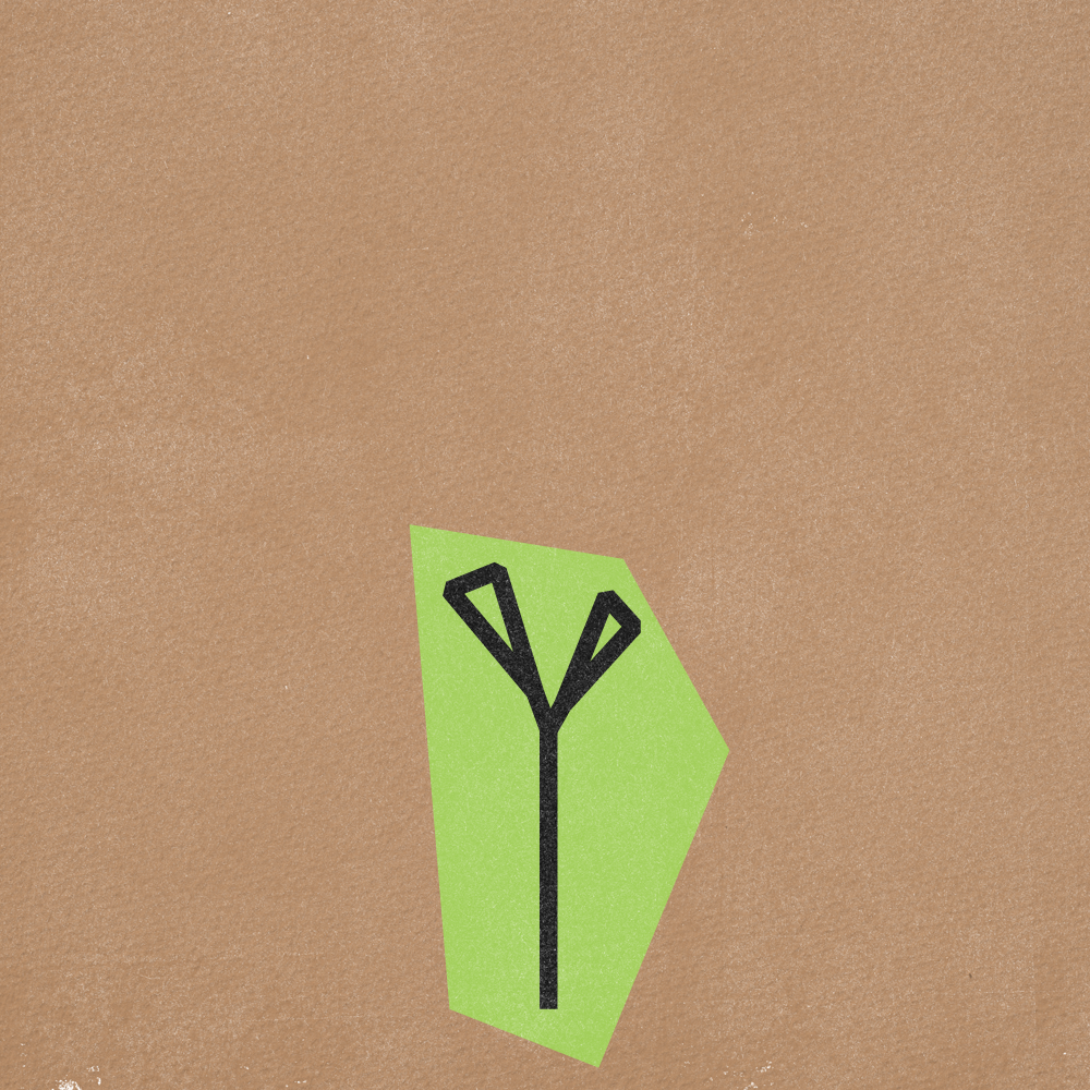 Flower Gif Frames v5-08.png