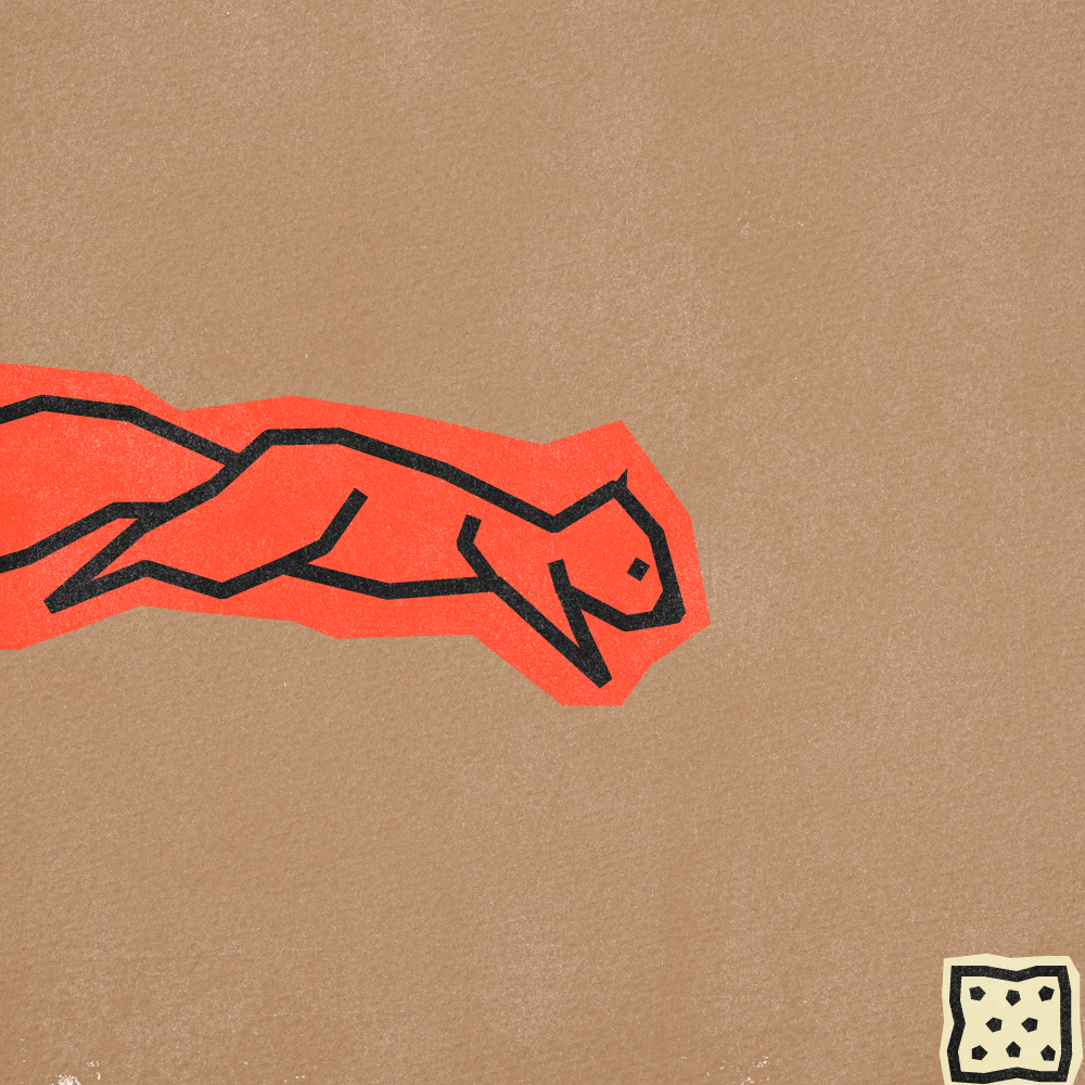 Dont Feed the Squirrels-04.png