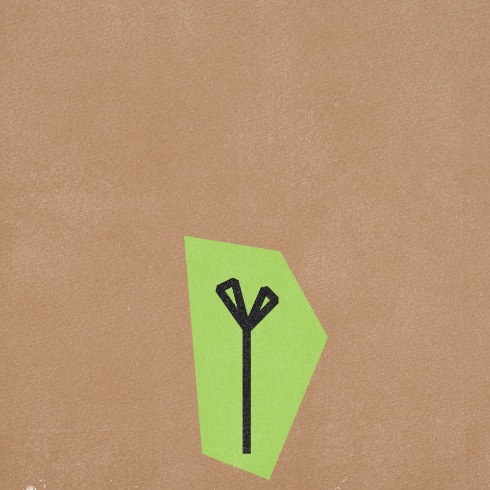 Flower Gif Frames v5-07.png