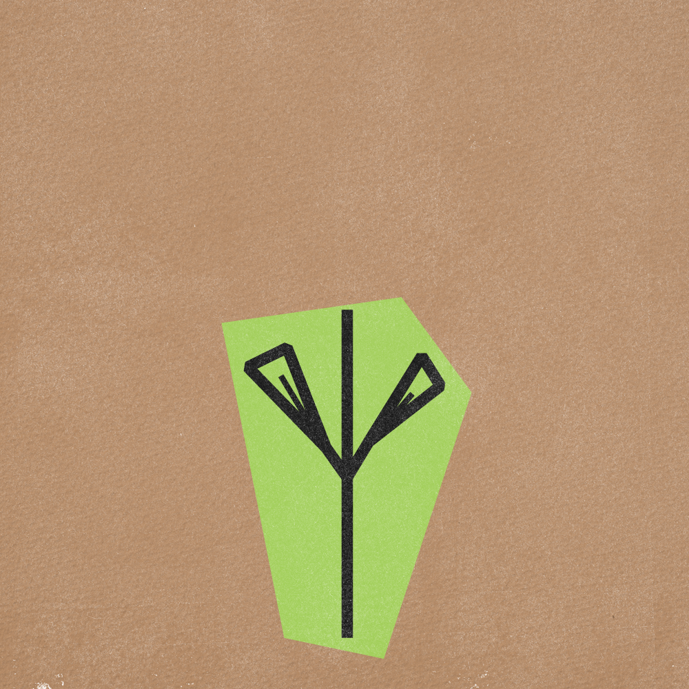 Flower Gif Frames v5-11.png