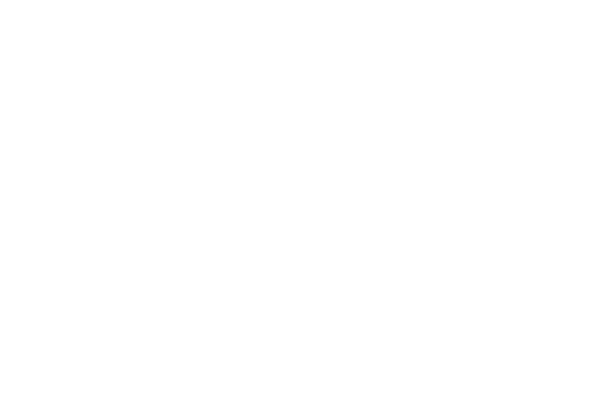 Logo of e29 Labs with stylized lettering in white on a black background.