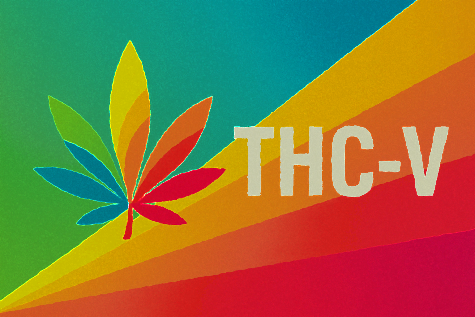 What is THC-V?