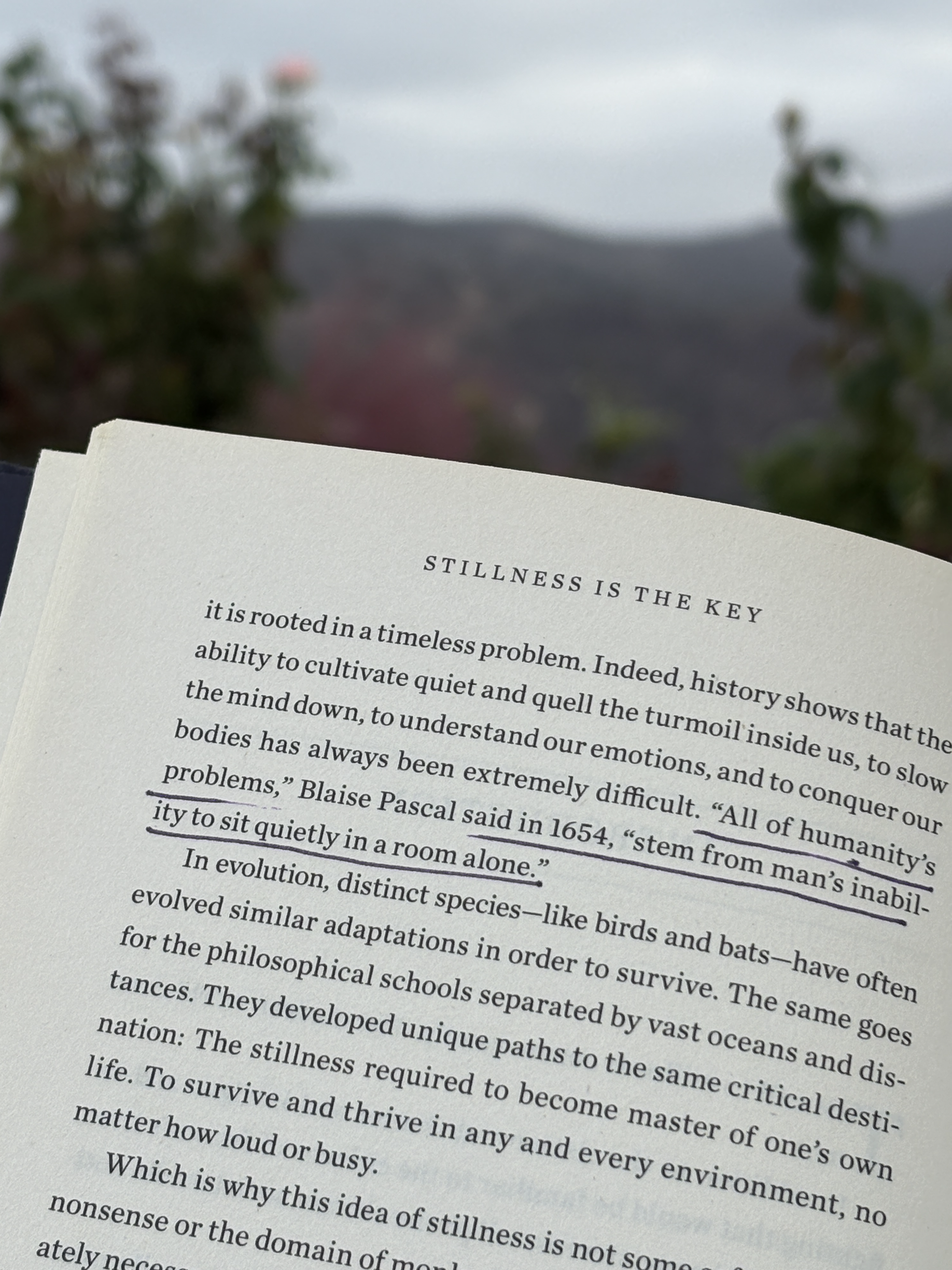 Open book with text about stillness, with blurred outdoor landscape in background.