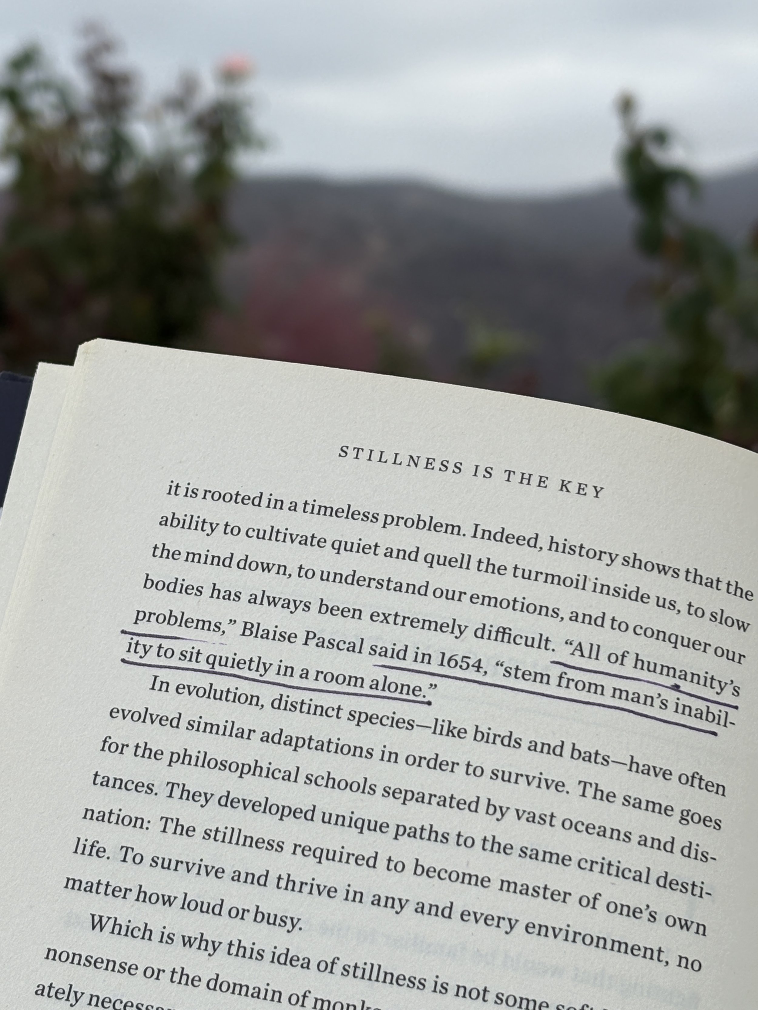 Open book page titled 'Stillness is the Key' with text about quietness and evolution, held outdoors with blurred landscape and mountains in the background.
