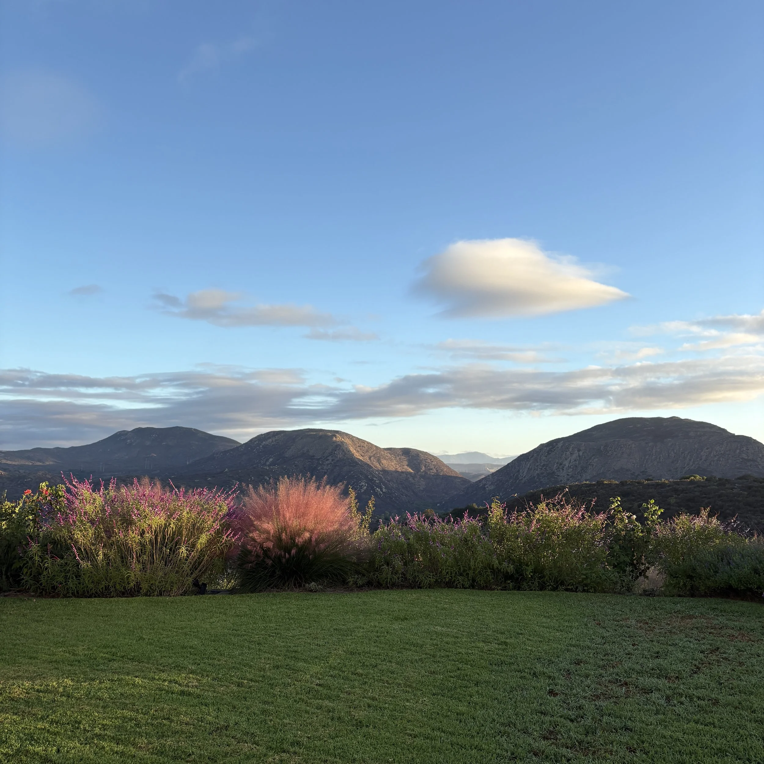 Scenic landscape with green grassy foreground, colorful bushes with purple and pink flowers, rolling hills, and mountains under a blue sky with scattered clouds.