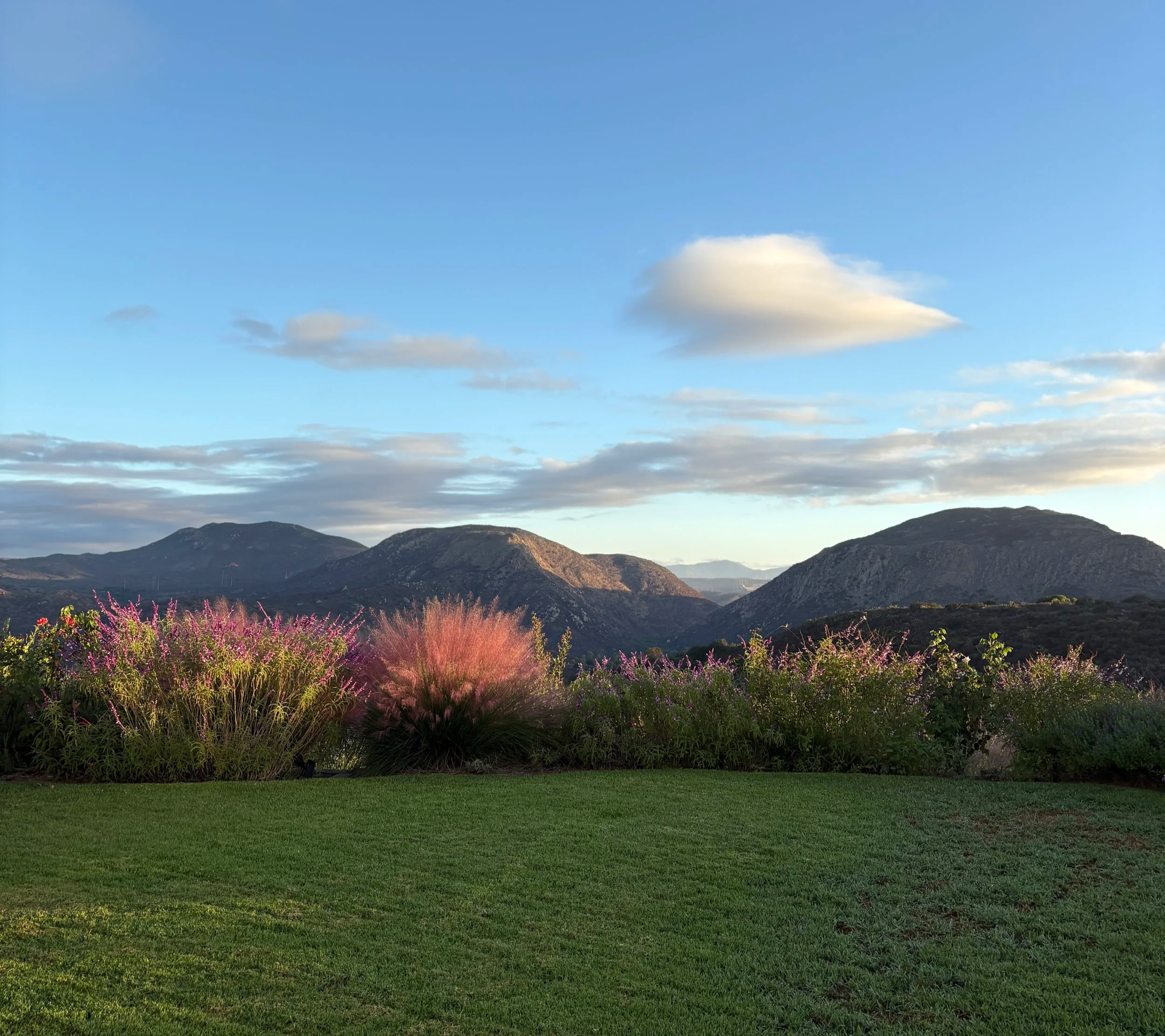 Scenic landscape with green grass in foreground, colorful flowering bushes, mountains in background, blue sky with clouds.