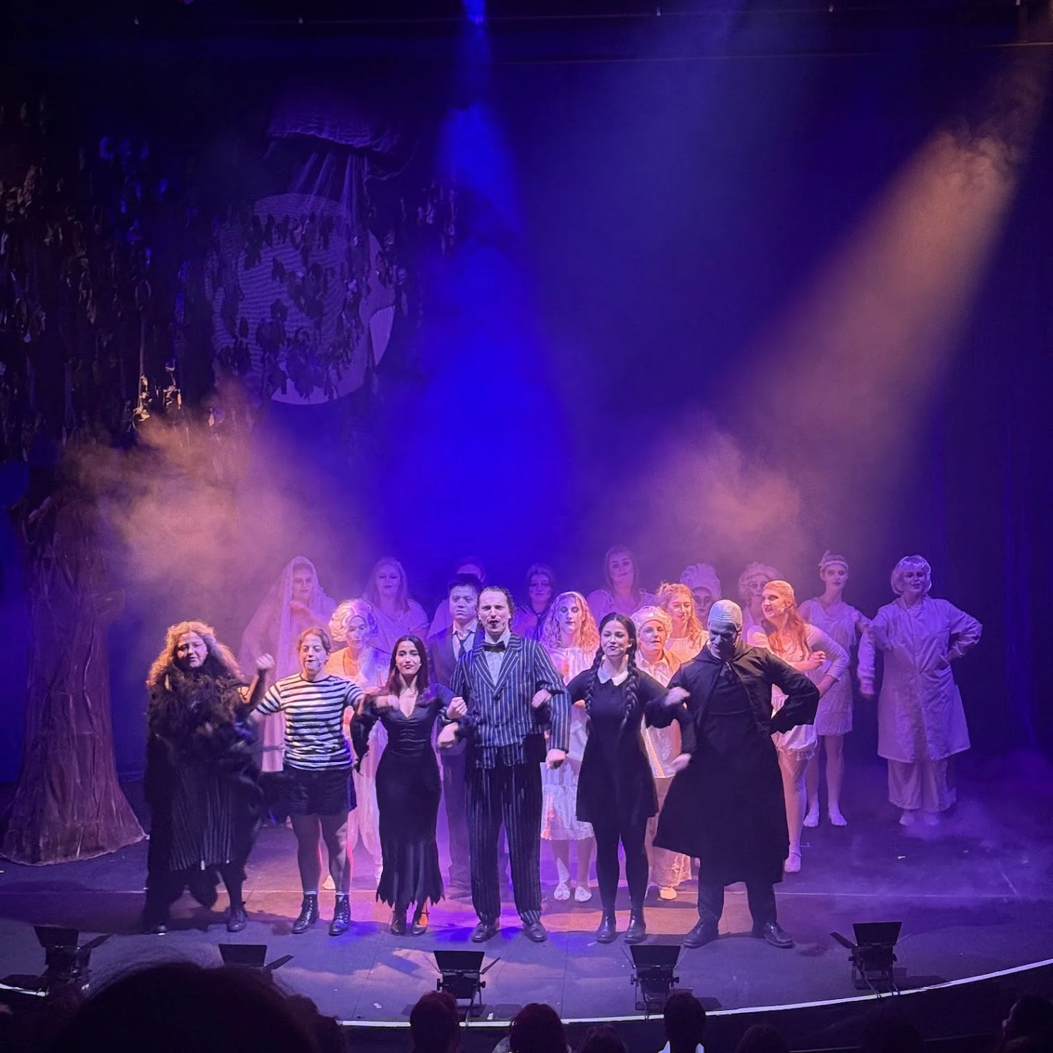 The Addams Family: A Review