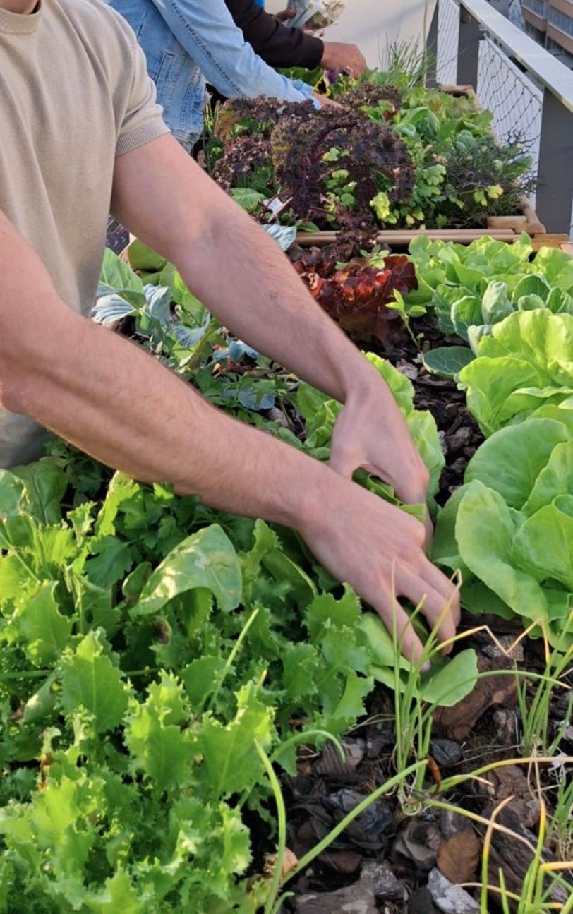 Huertos in the Sky GreenClub2.jpg