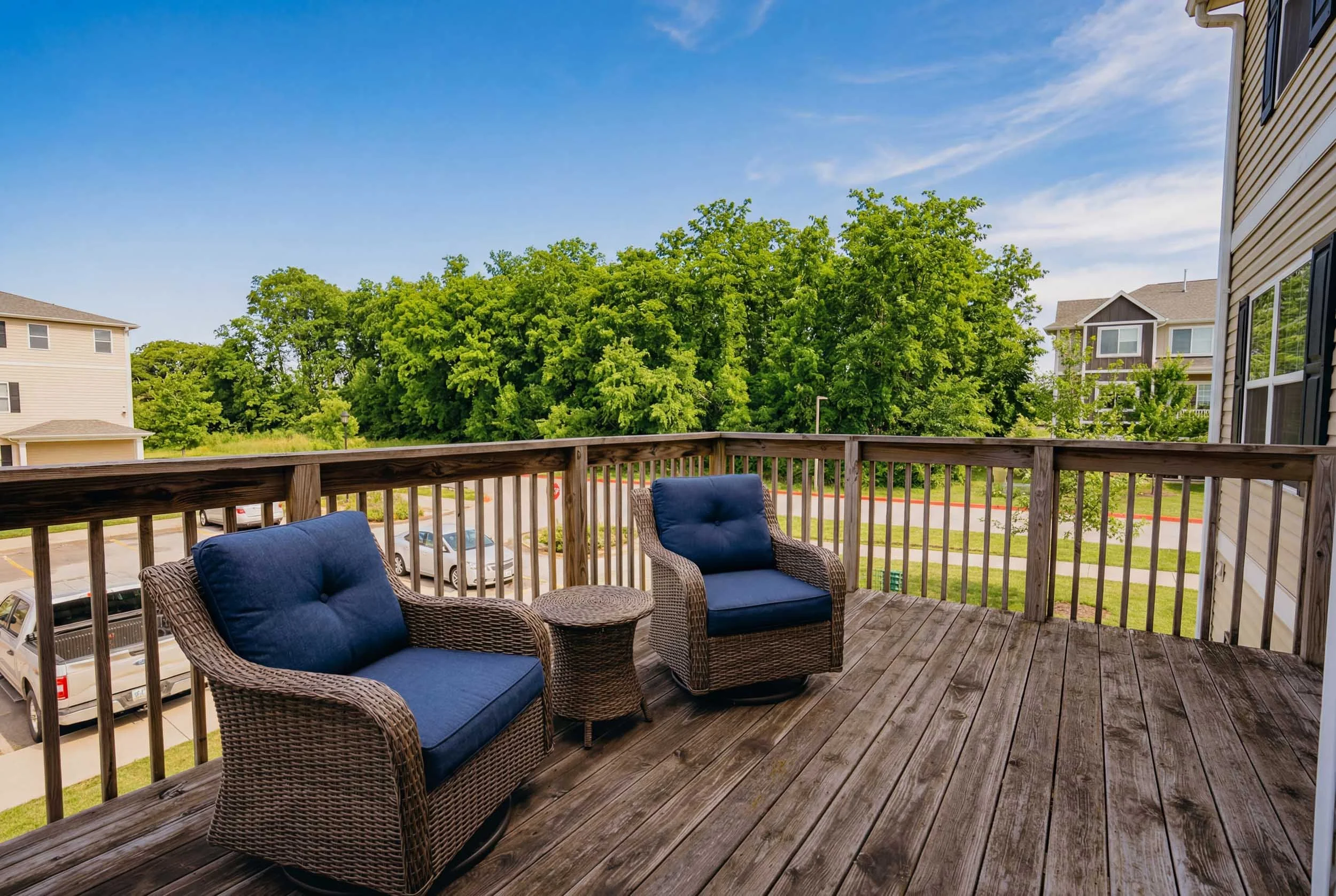 Copper Beech - 30.jpg
