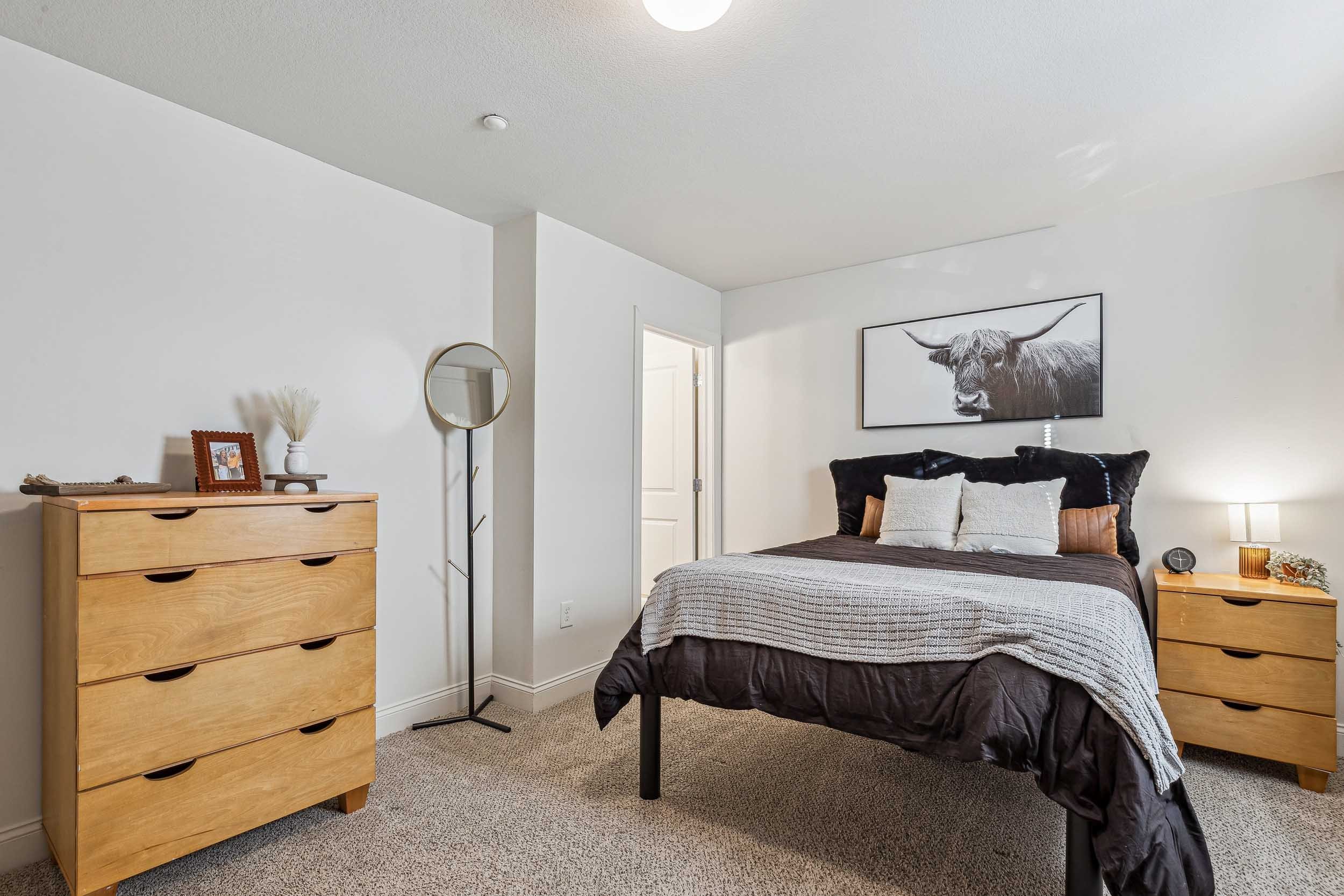 Copper Beech - 23.jpg