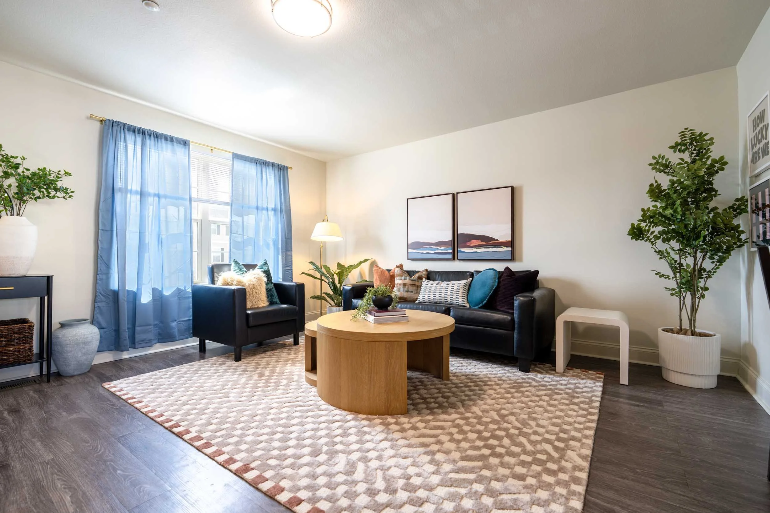 Copper Beech - 24.jpg