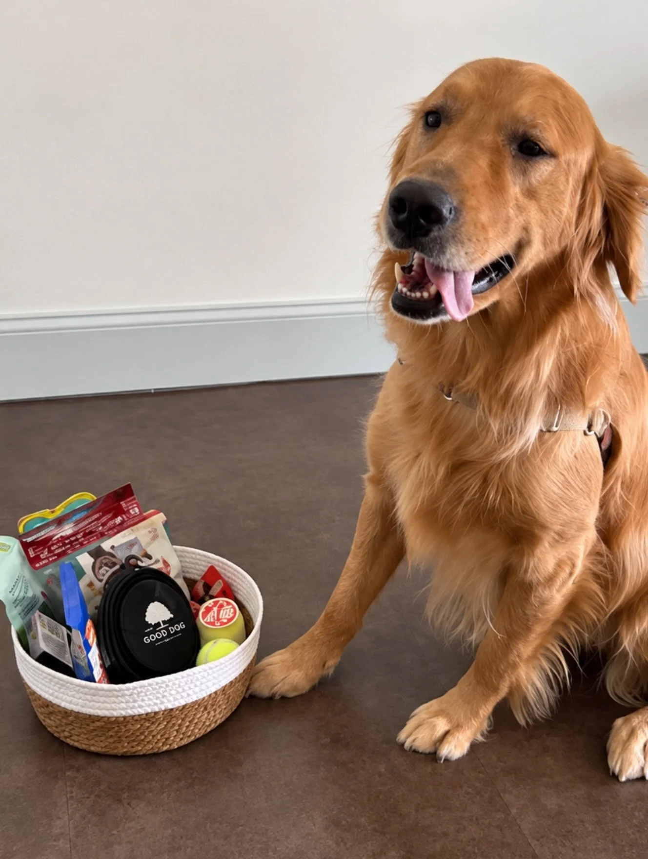 🐾🧡 GIVEAWAY WINNER! 🧡🐾

A BIG congratulations to Kix on winning this week&rsquo;s Beech Box Giveaway! 🎉🐶🧡

Looks like Kix is ready to put those treats and toys to good use! 🦴🎾😋

Thank you to everyone who joined in and shared your adorable p