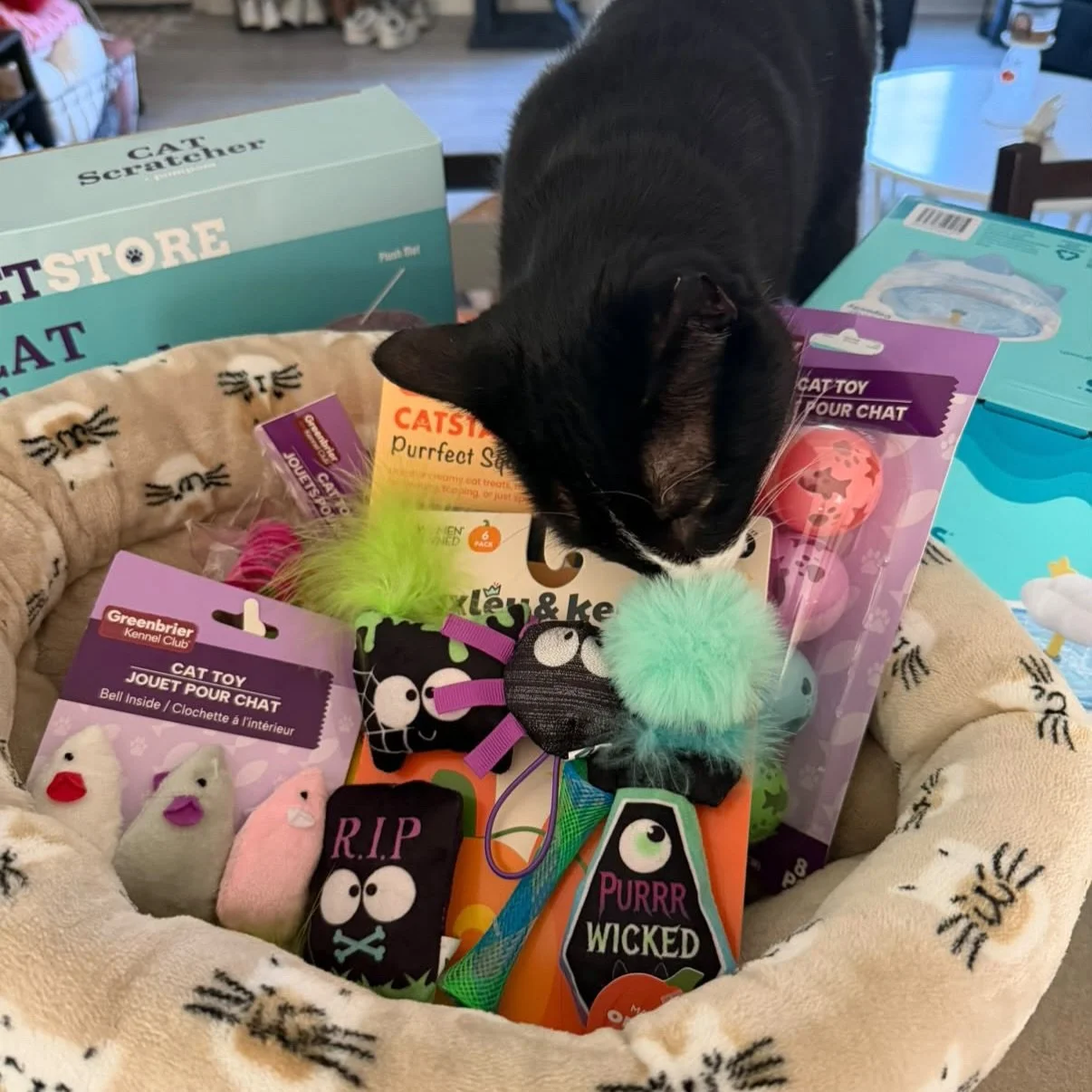 🧡🐾 A little appreciation for our Copper Beech Ames community! 🏡✨

We&rsquo;ve had so much fun connecting with our residents lately, from our furry friends enjoying their goodies 🐱🎁 to sharing some pizza in the office today! 🍕 We want to say a H