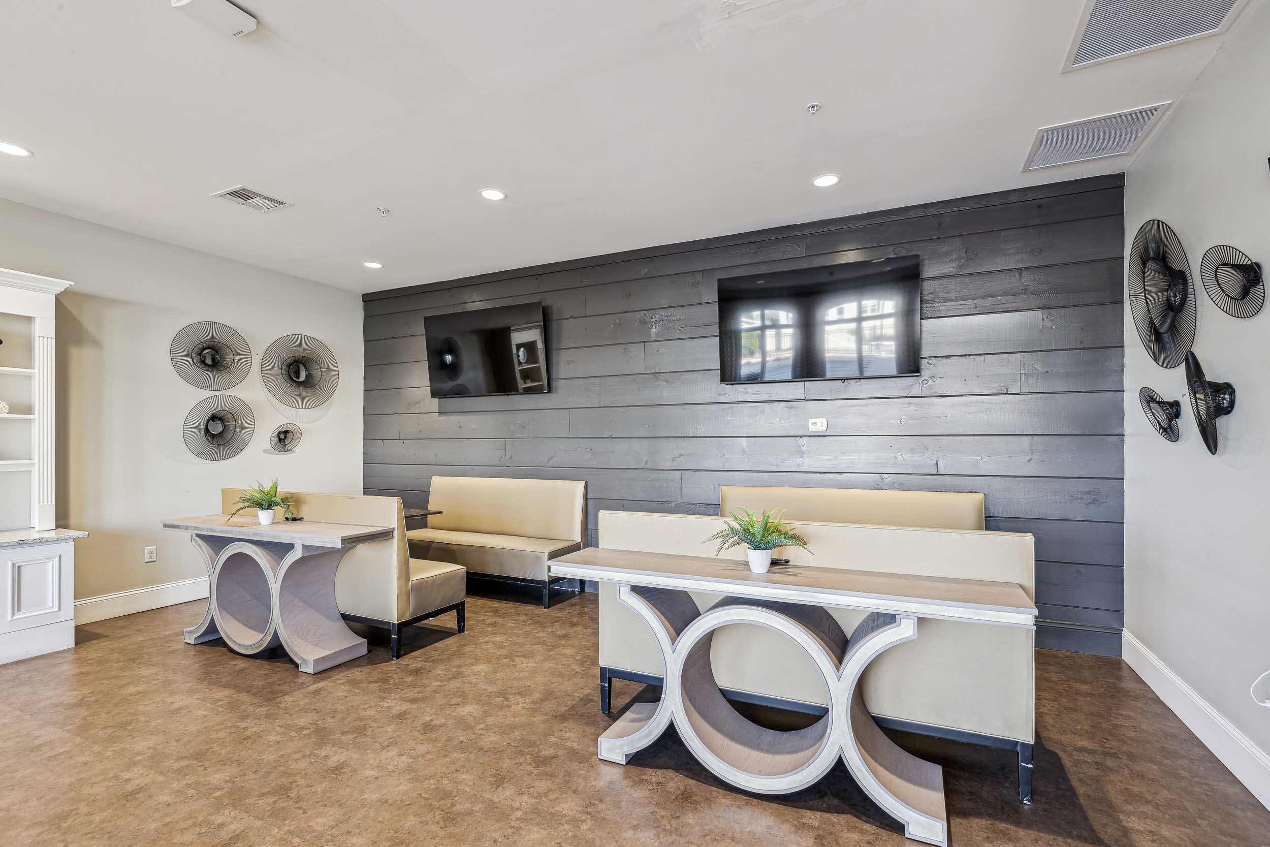 Copper Beech - 14.jpg