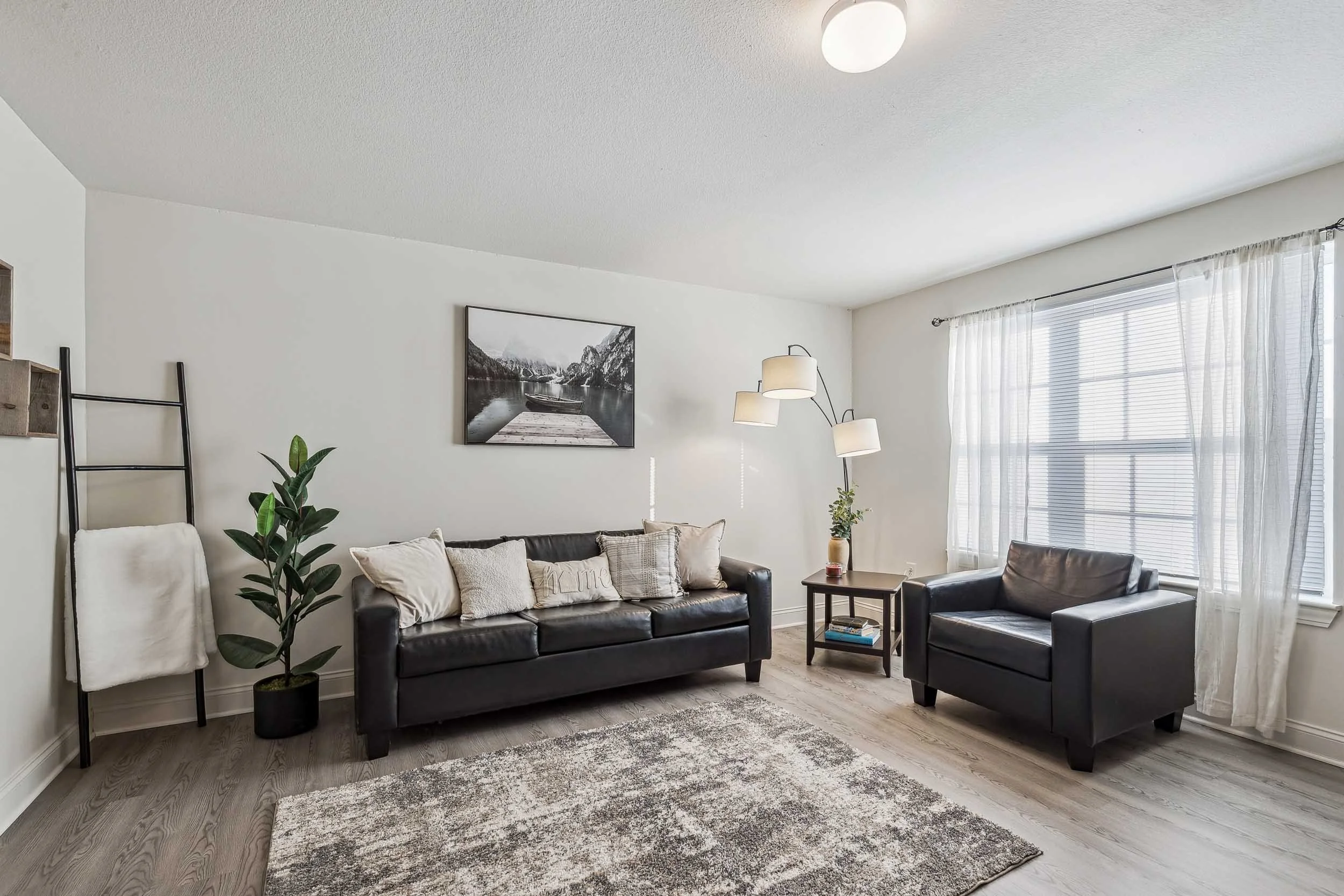 Copper Beech - 20.jpg