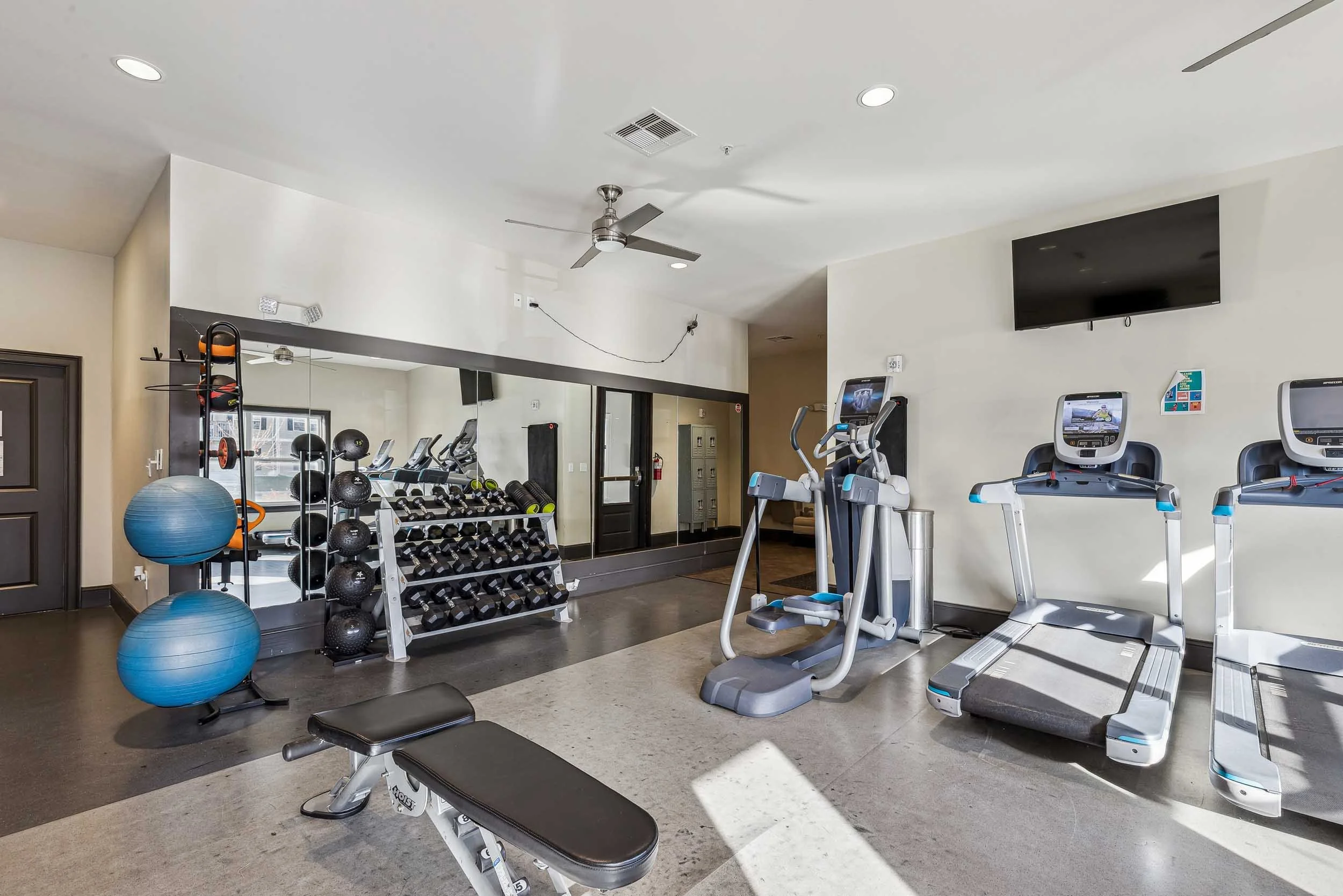 Copper Beech - 16.jpg