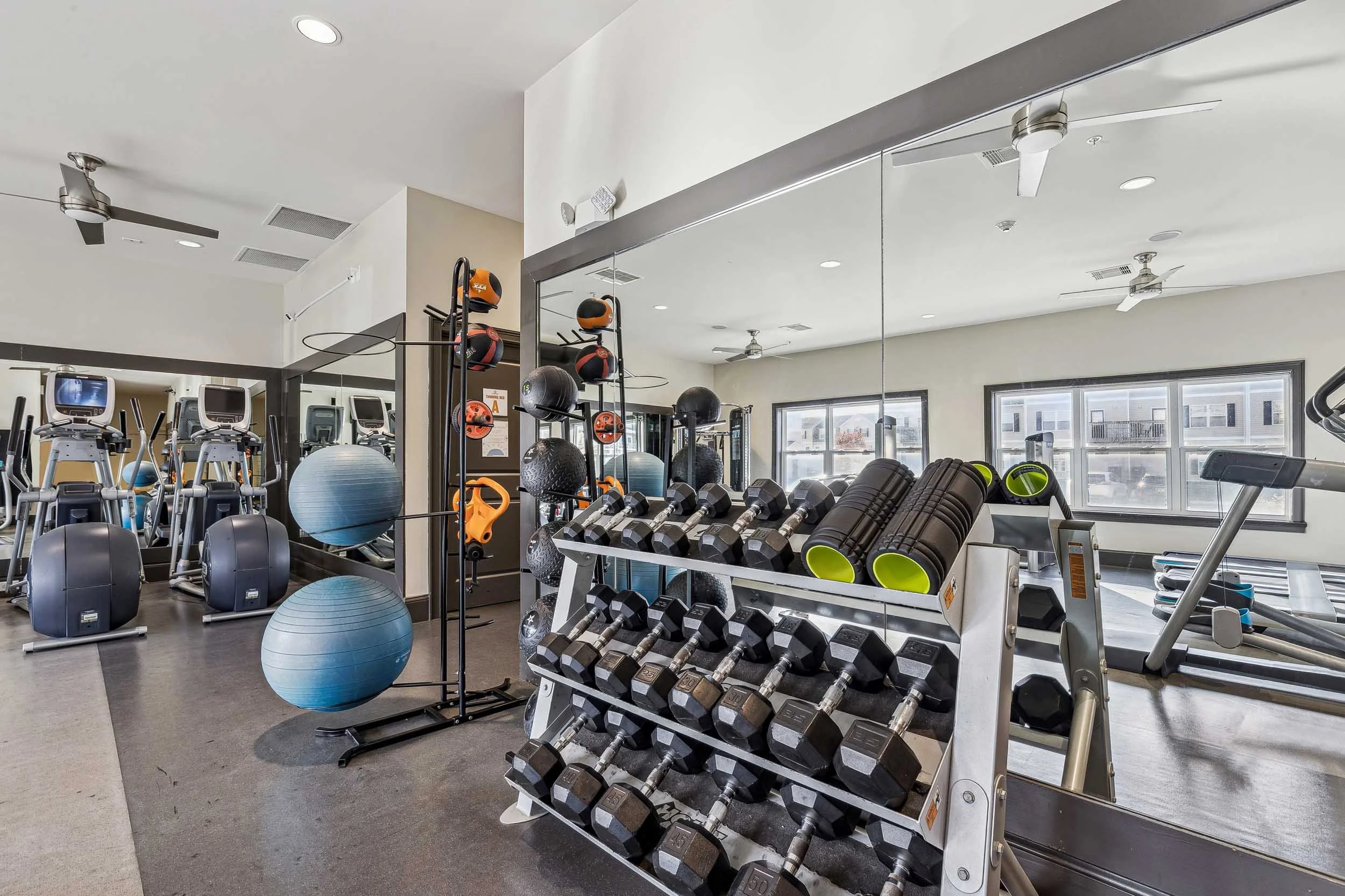 Copper Beech - 18.jpg