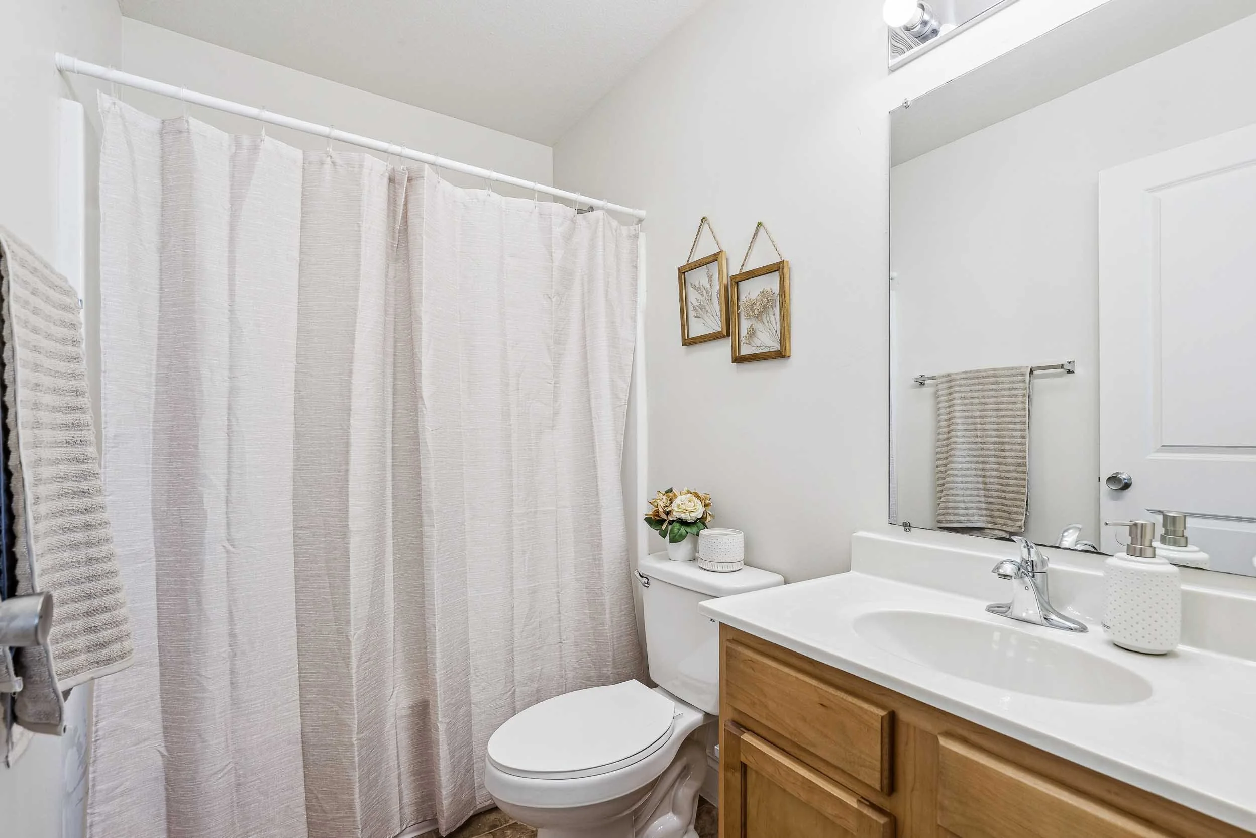 Copper Beech - 29.jpg