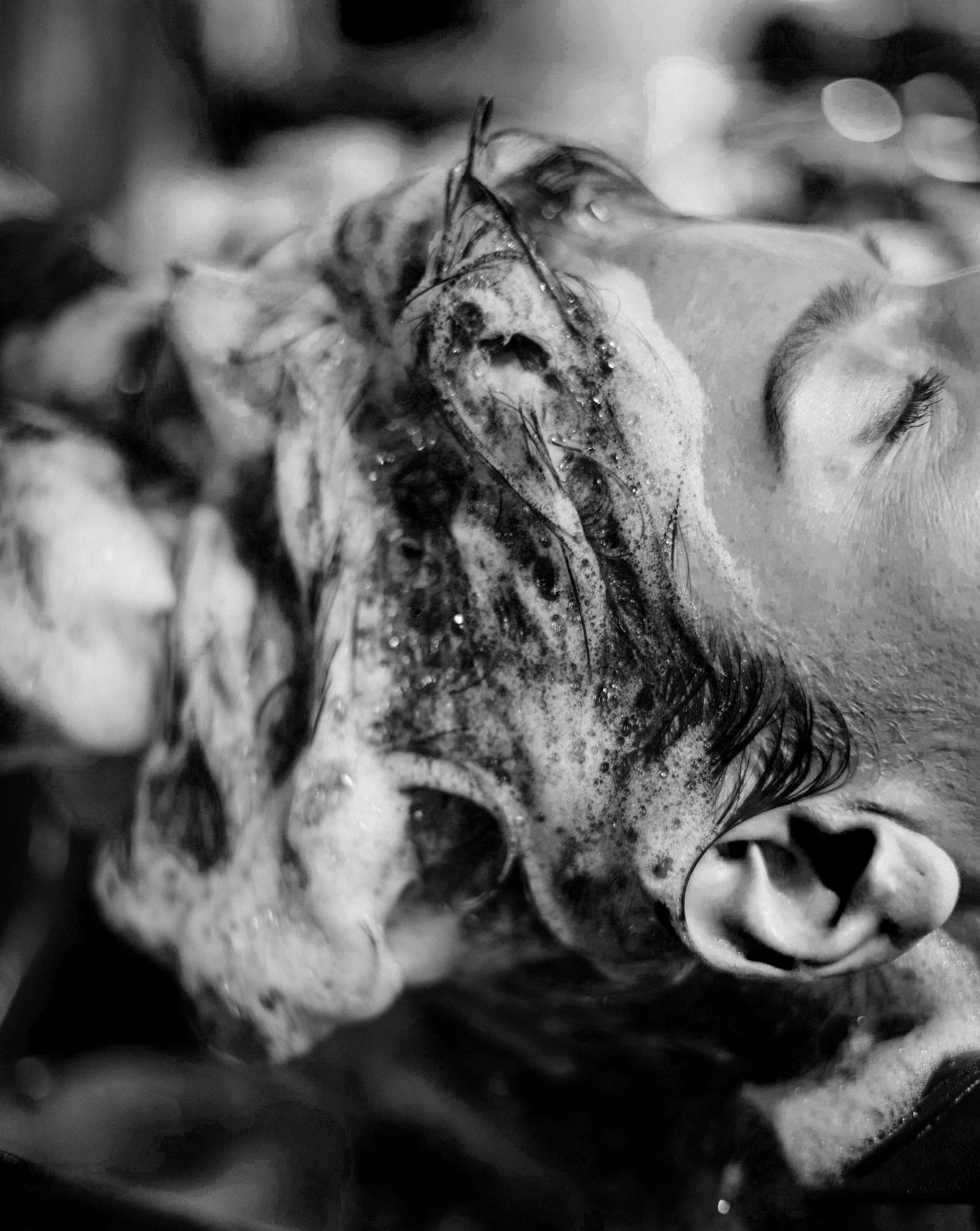 Close-up of a person's face with closed eyes, covered in soap and water, in a black and white photo.