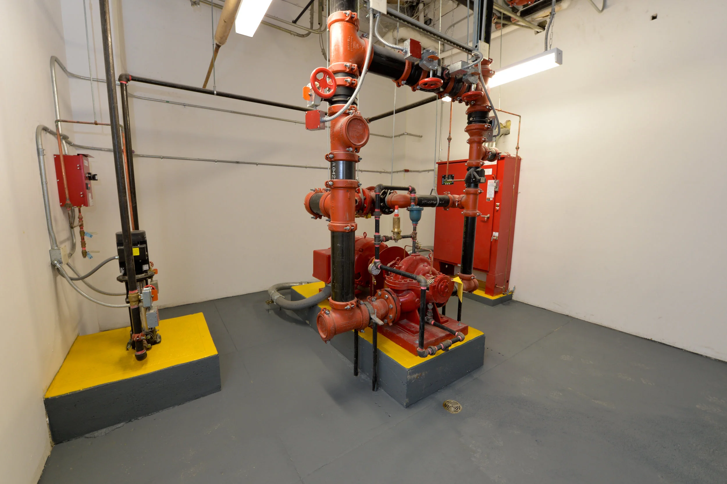 CPP_0260.jpg
