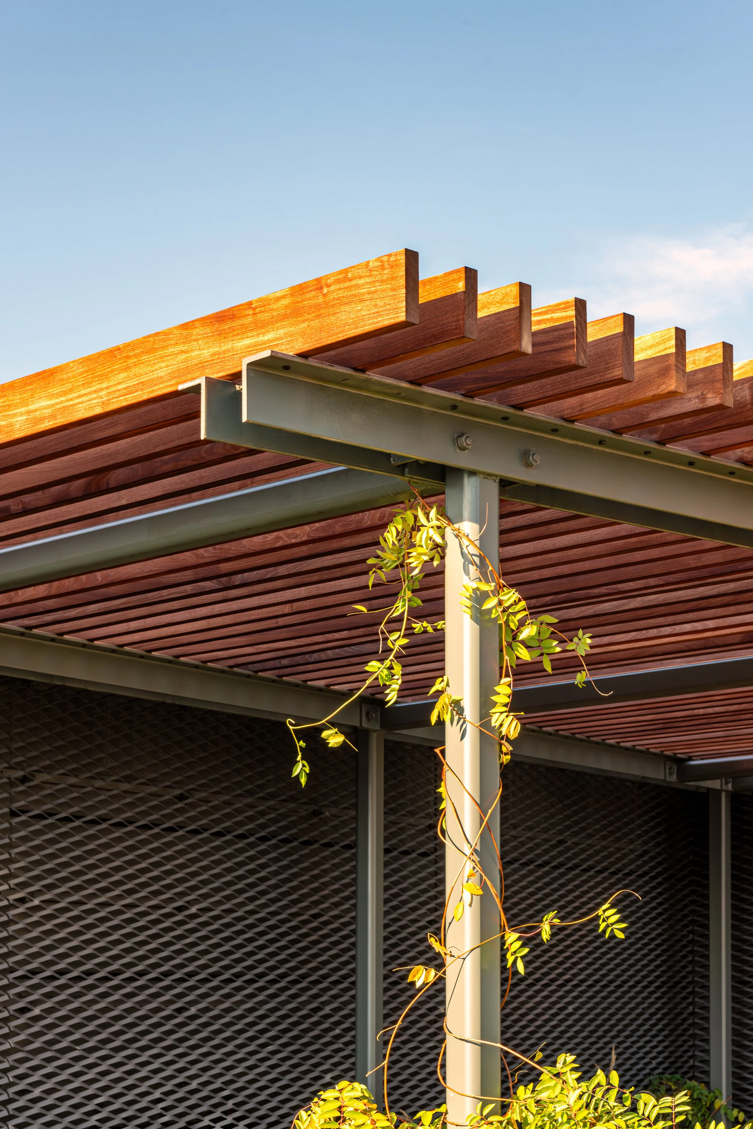 641 6TH ROOF-11.jpg
