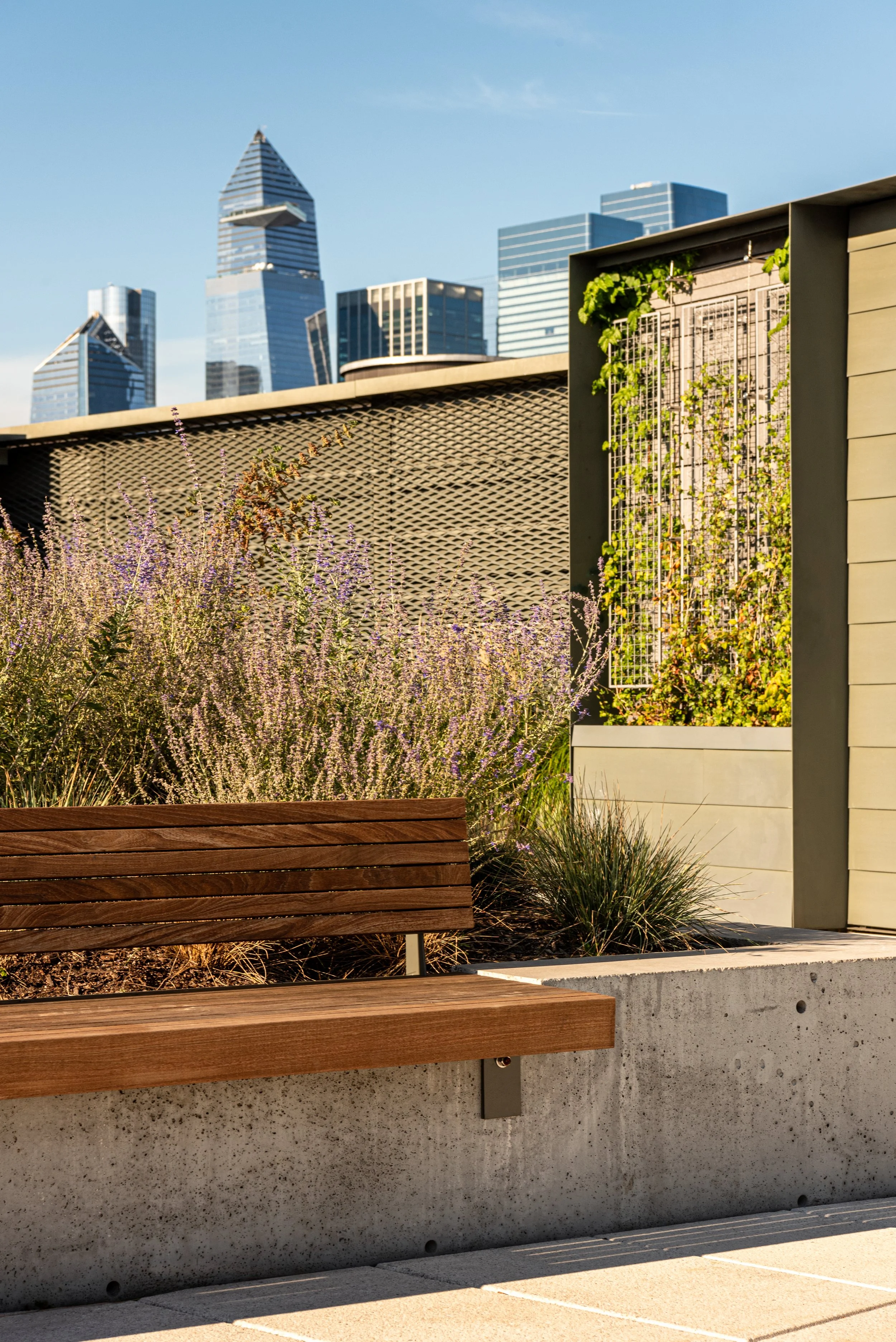 641 6TH ROOF-9.jpg
