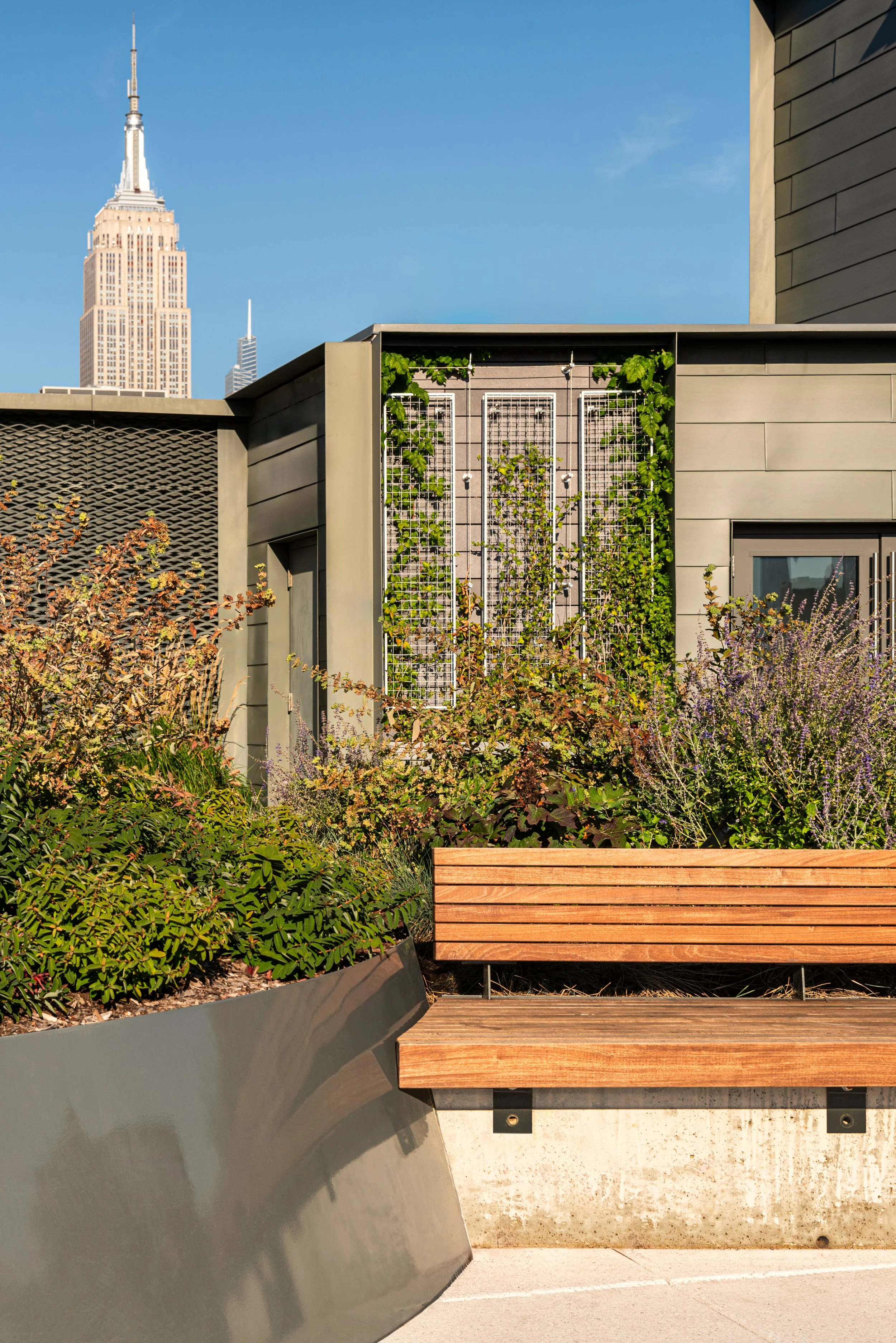 641 6TH ROOF-10.jpg