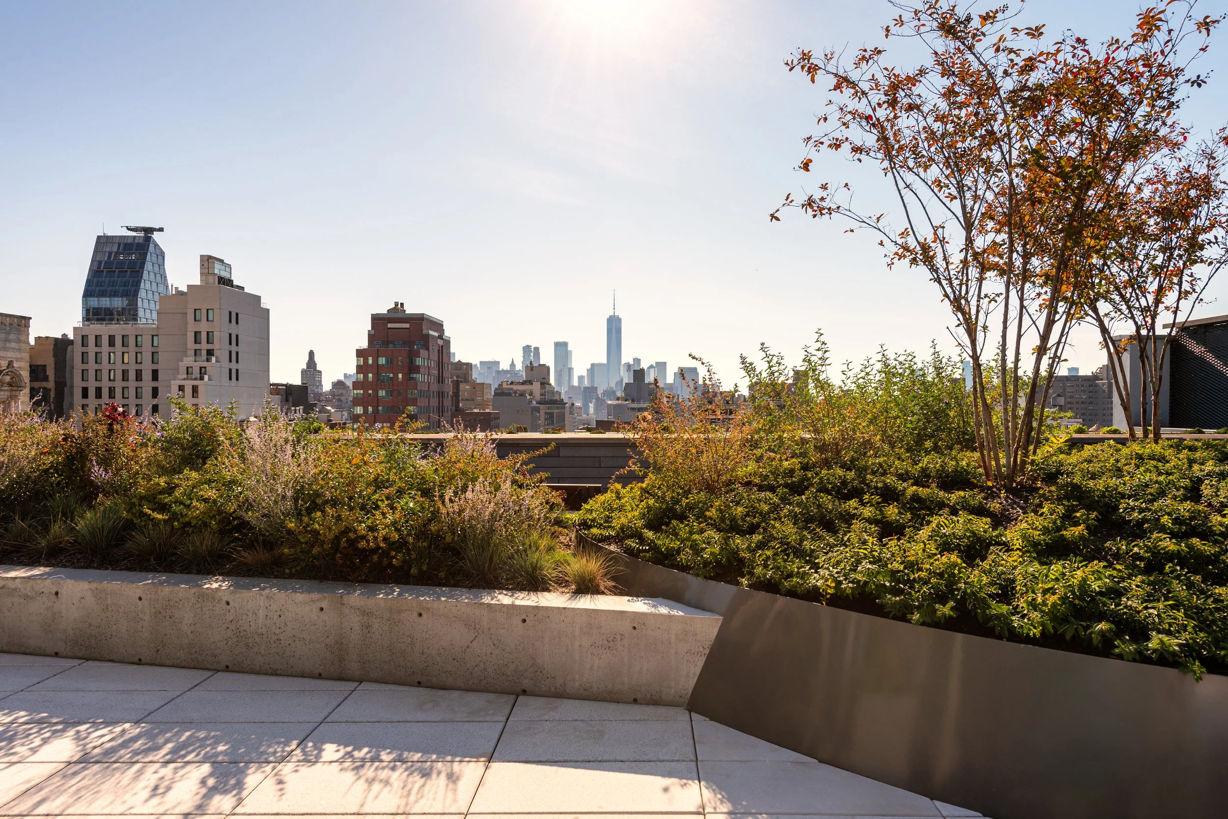 641 6TH ROOF-4.jpg
