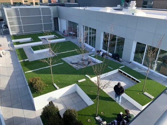 image2 (1).jpeg