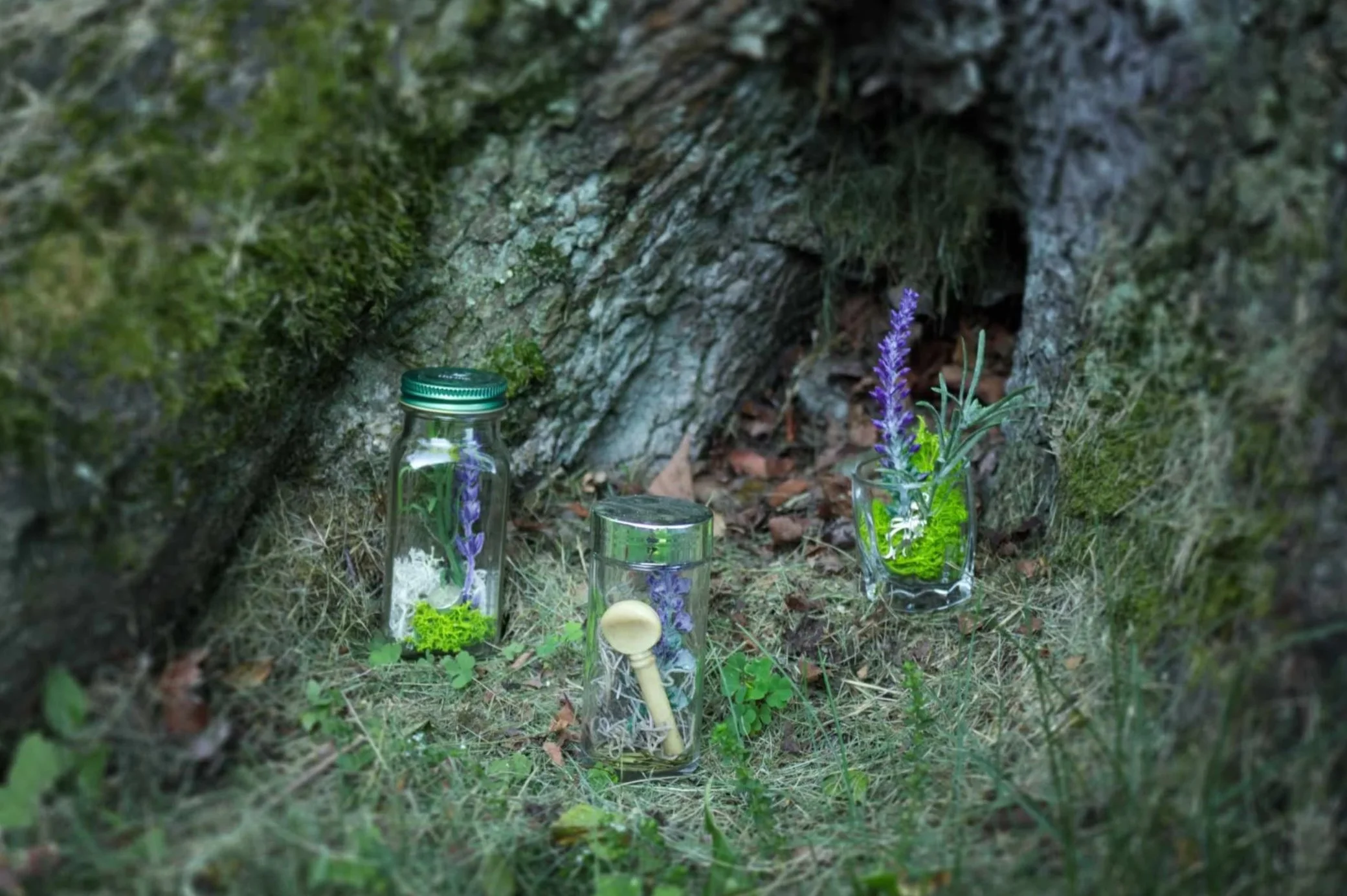 The Curiosities Project
