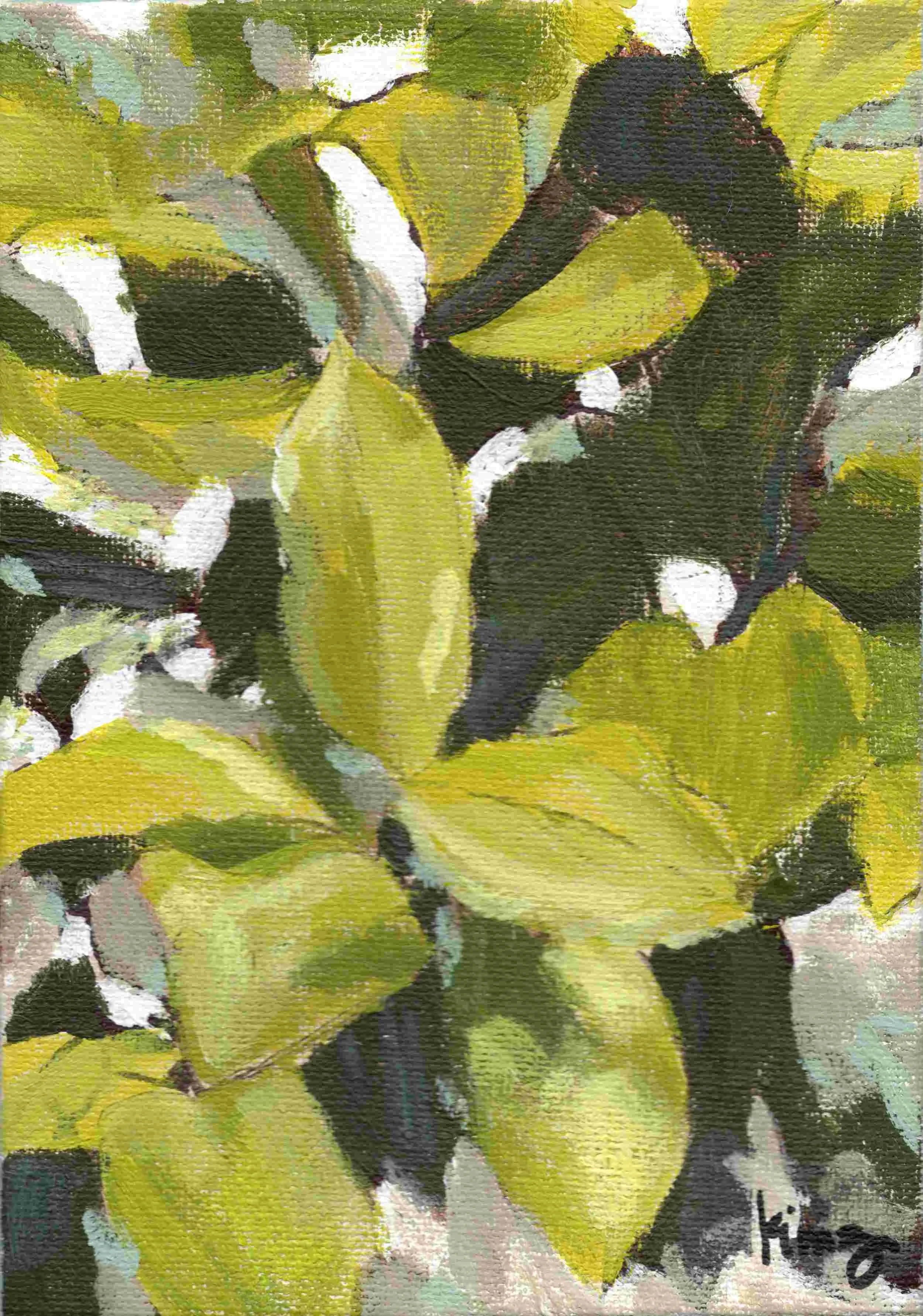 Jungle Imagined