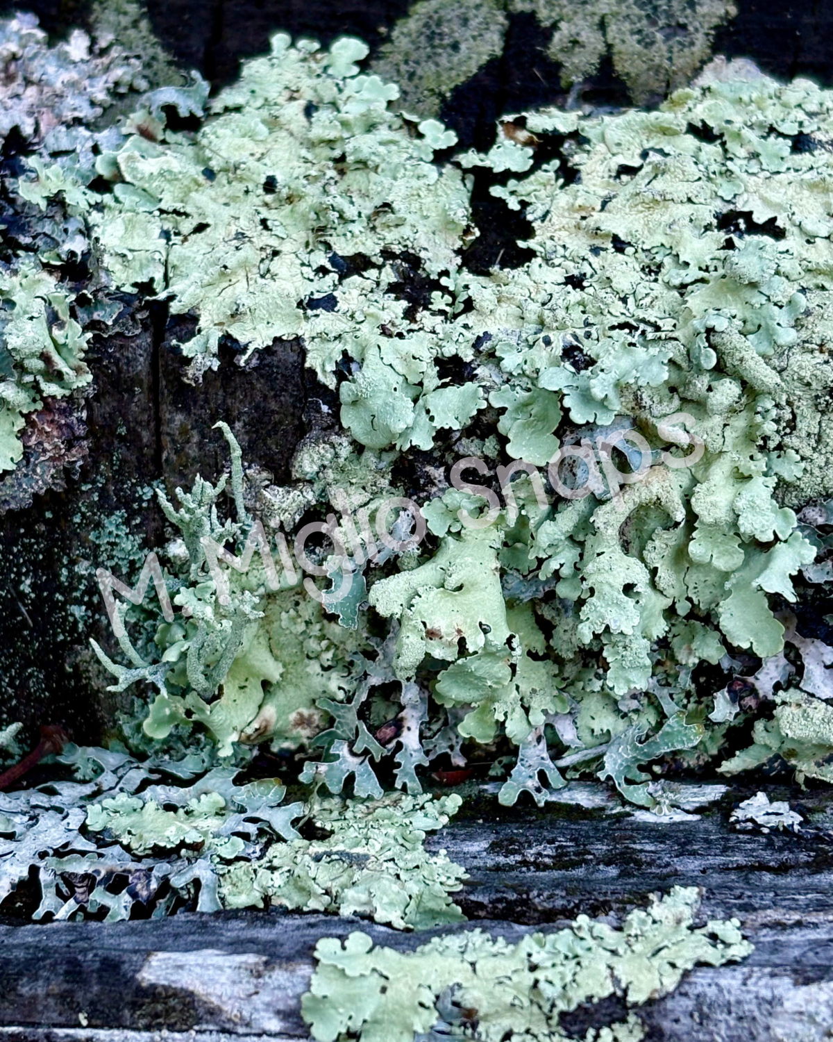 17.png