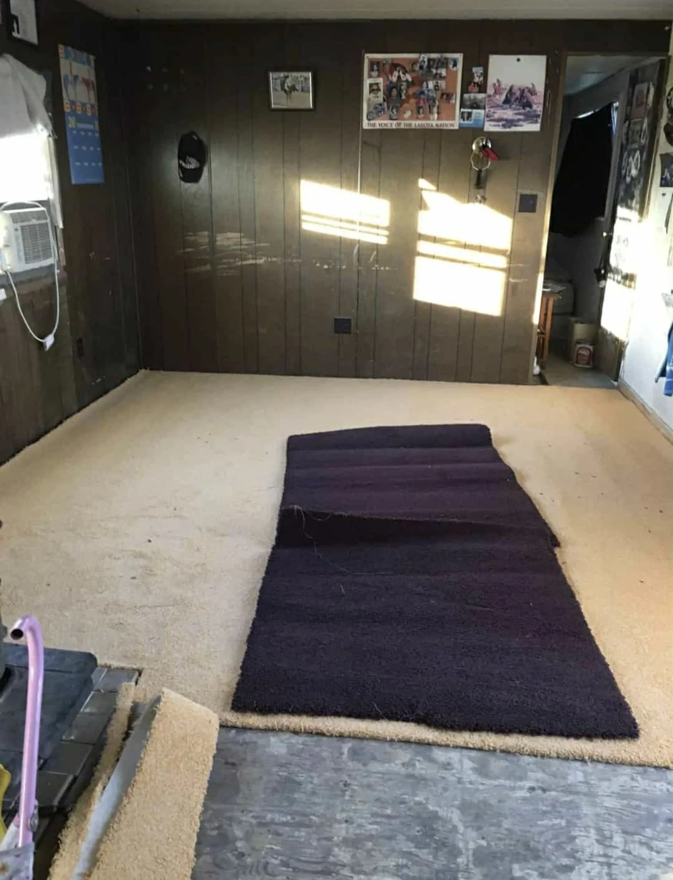 Room with a dark brown wood-paneled wall, beige carpet, small black rug, and sunlight streaming in. There are pictures on the wall and a doorway leading to another space.