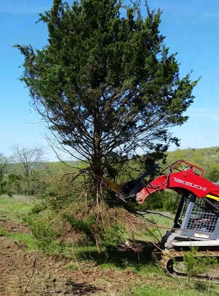 Takeuchi_Intimidator.jpg