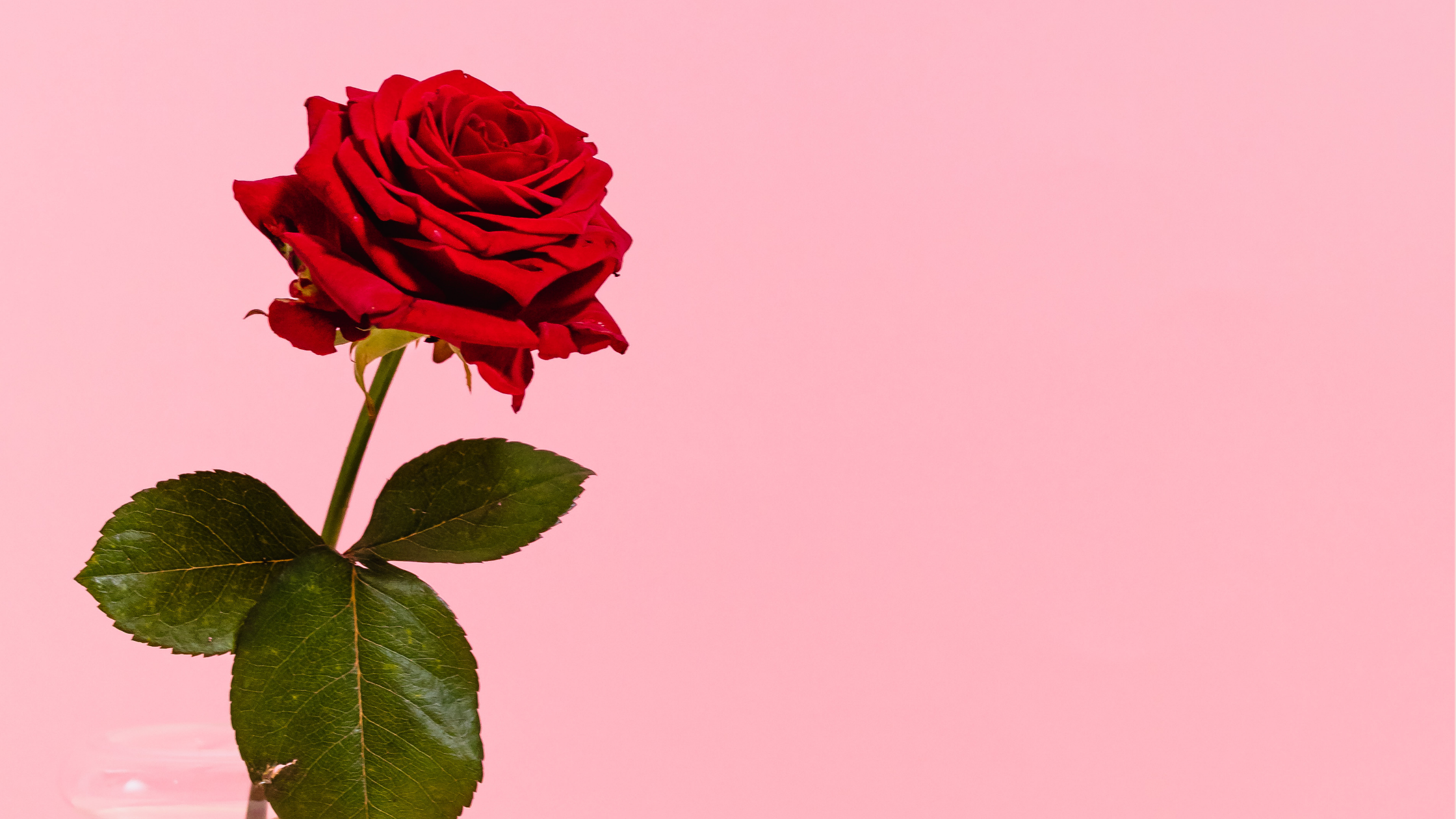 How Wedding &amp; Event Businesses Staff Their Valentine’s Day Rush (Role by Role)