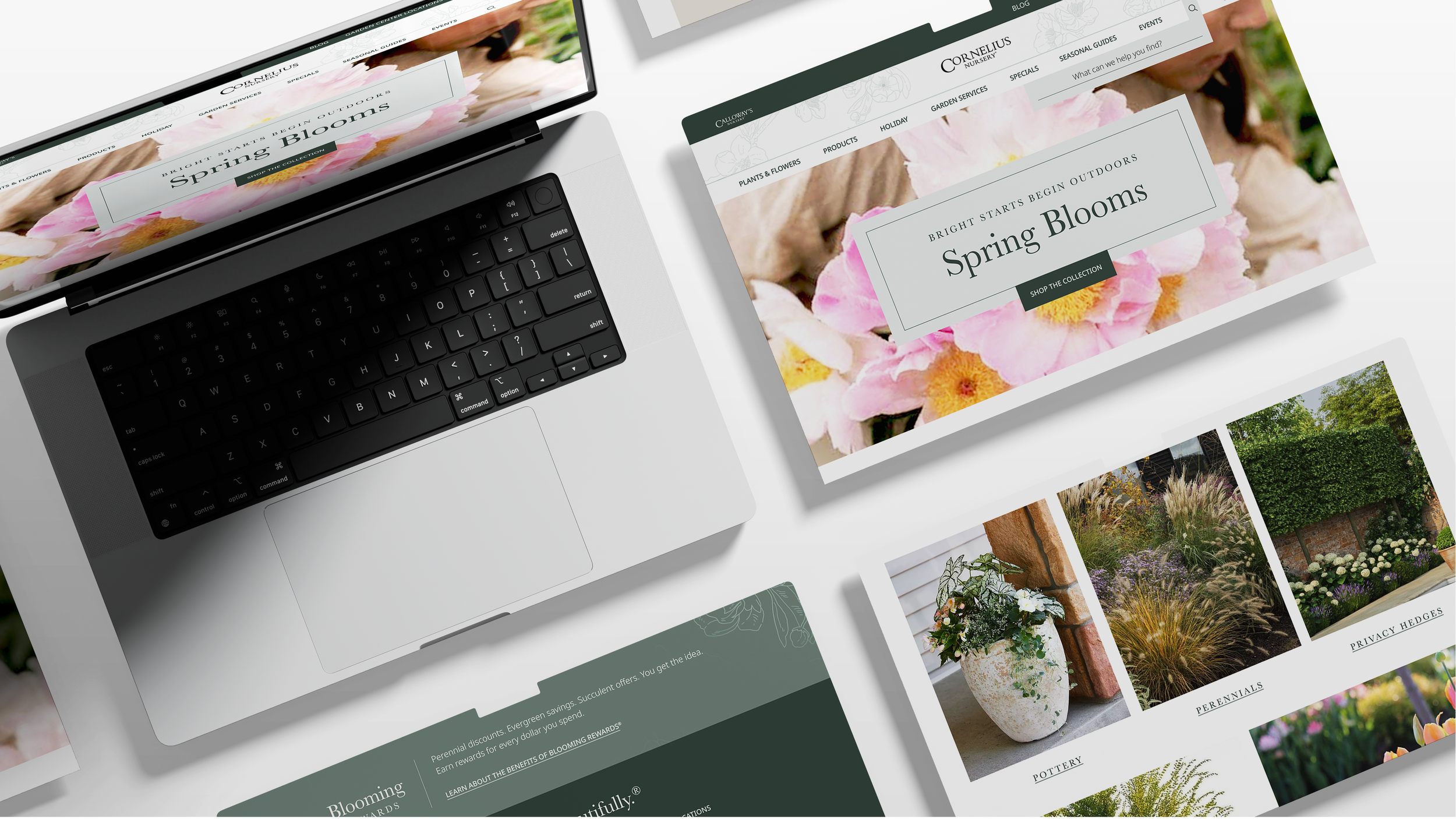 Digital Graphic Design