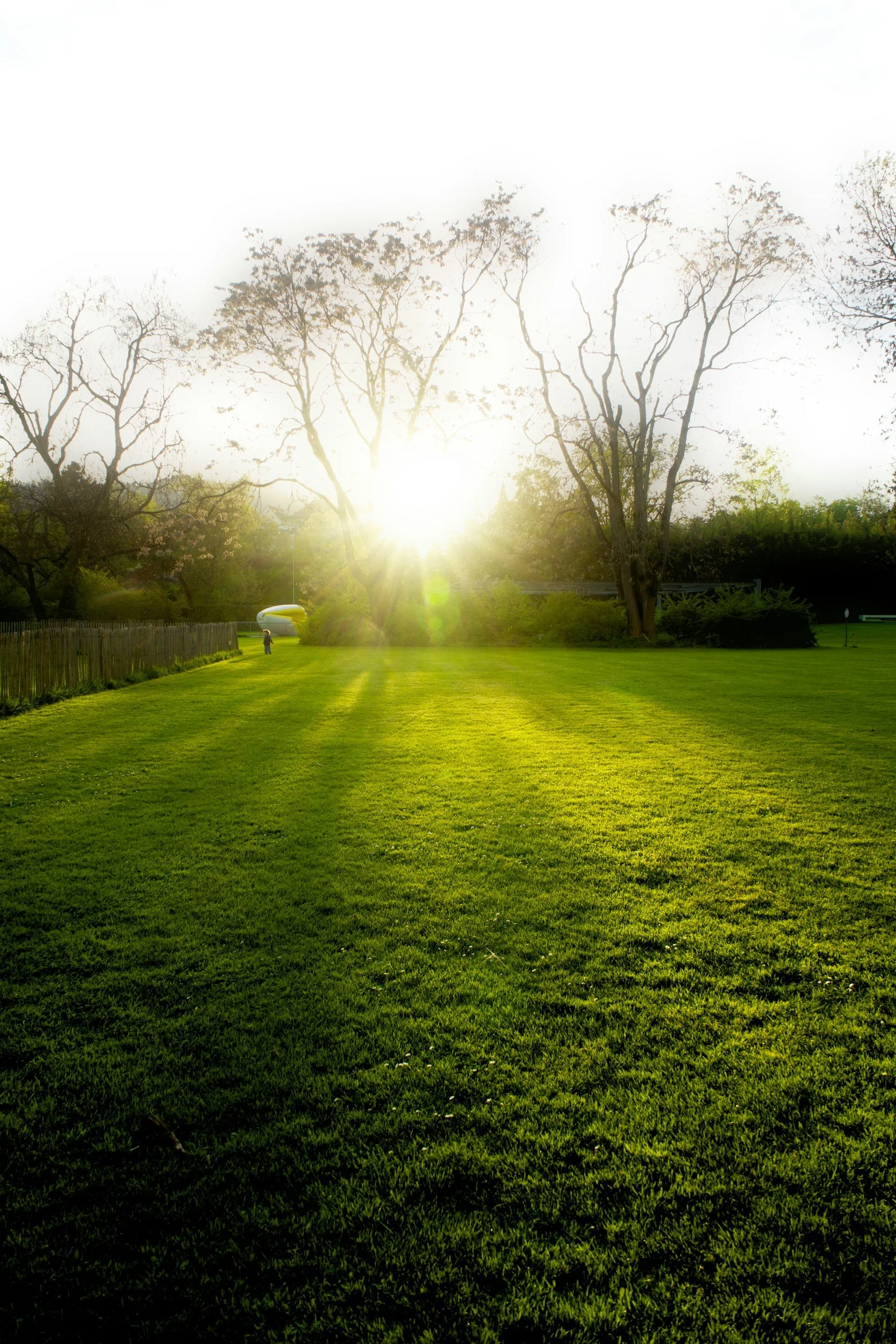 Clearing Space for Growth