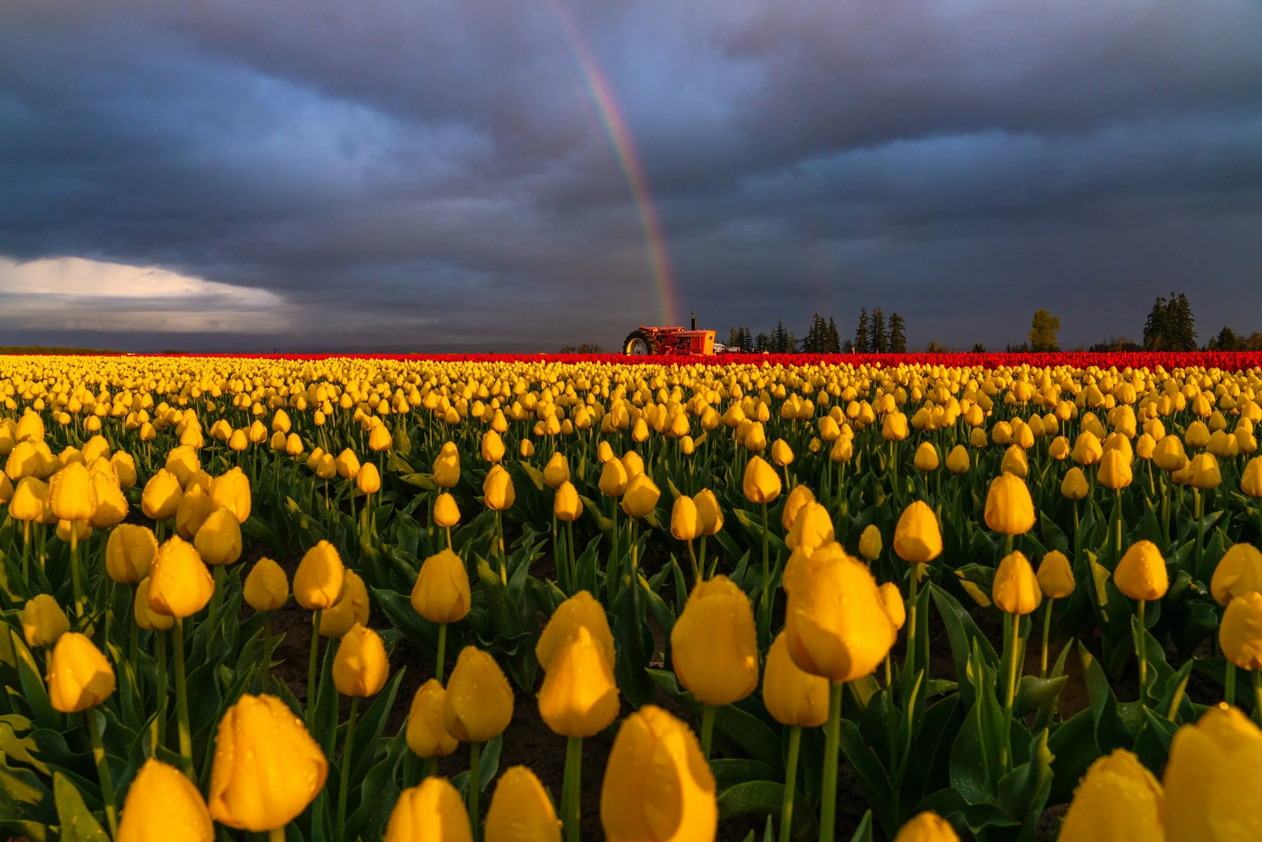 A Harvest Worth Noticing