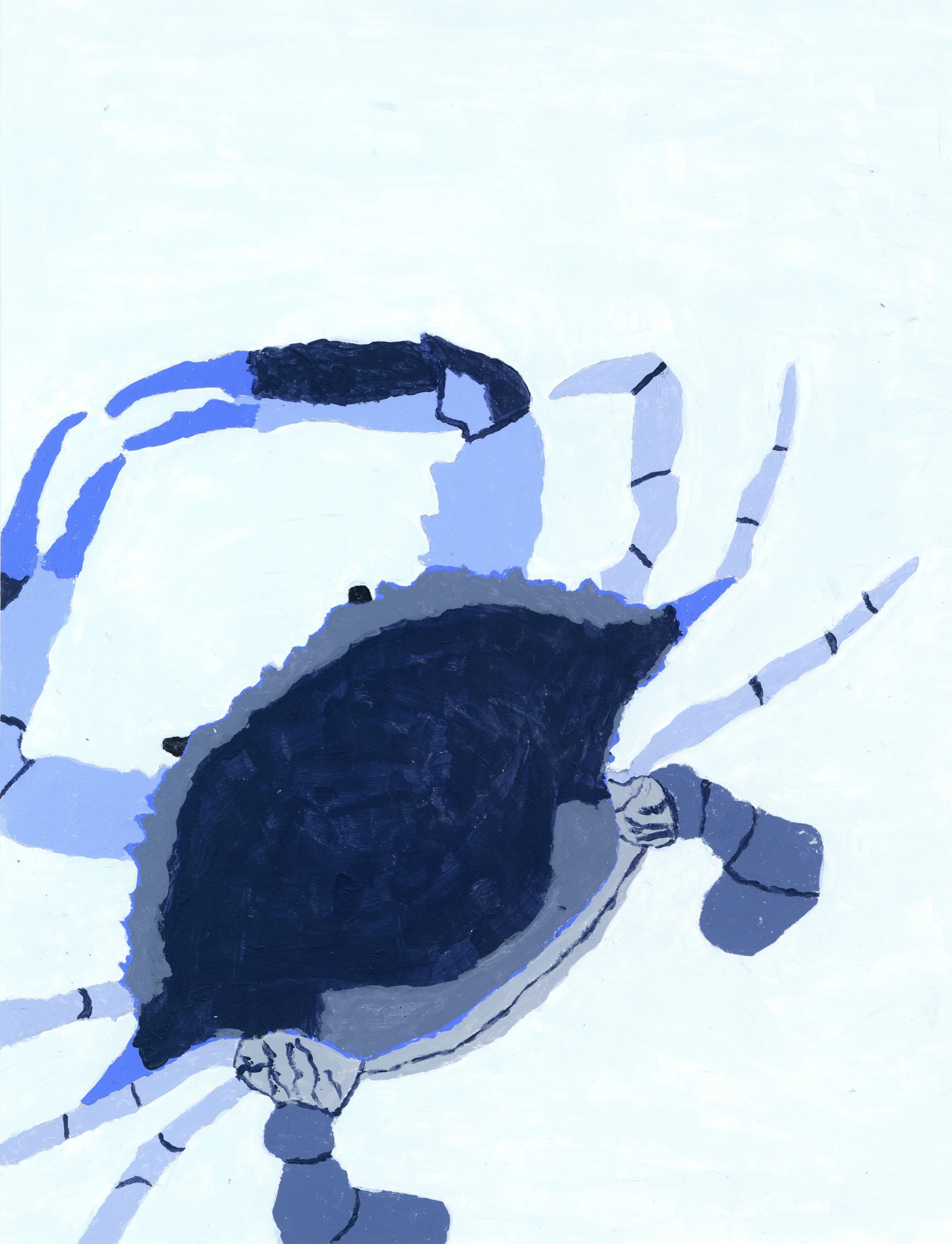 Crab shore house edit.jpg