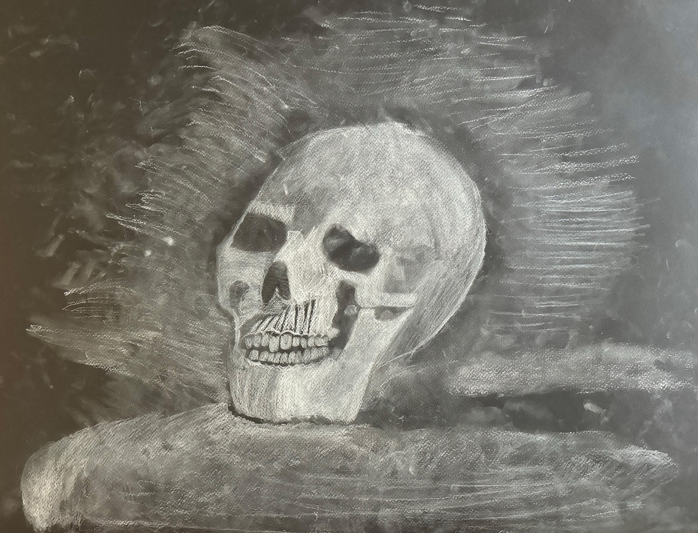 White Charcoal Skull.jpg