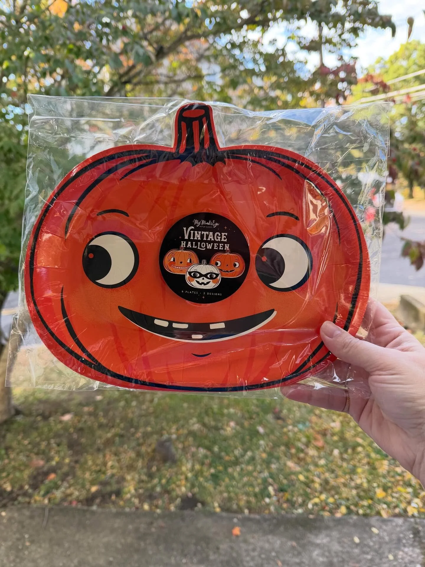 School party coming up? If you&rsquo;re on plate duty, we&rsquo;ve got your back! 🧡 All Halloween paper plates are 30% off this week in the shop.