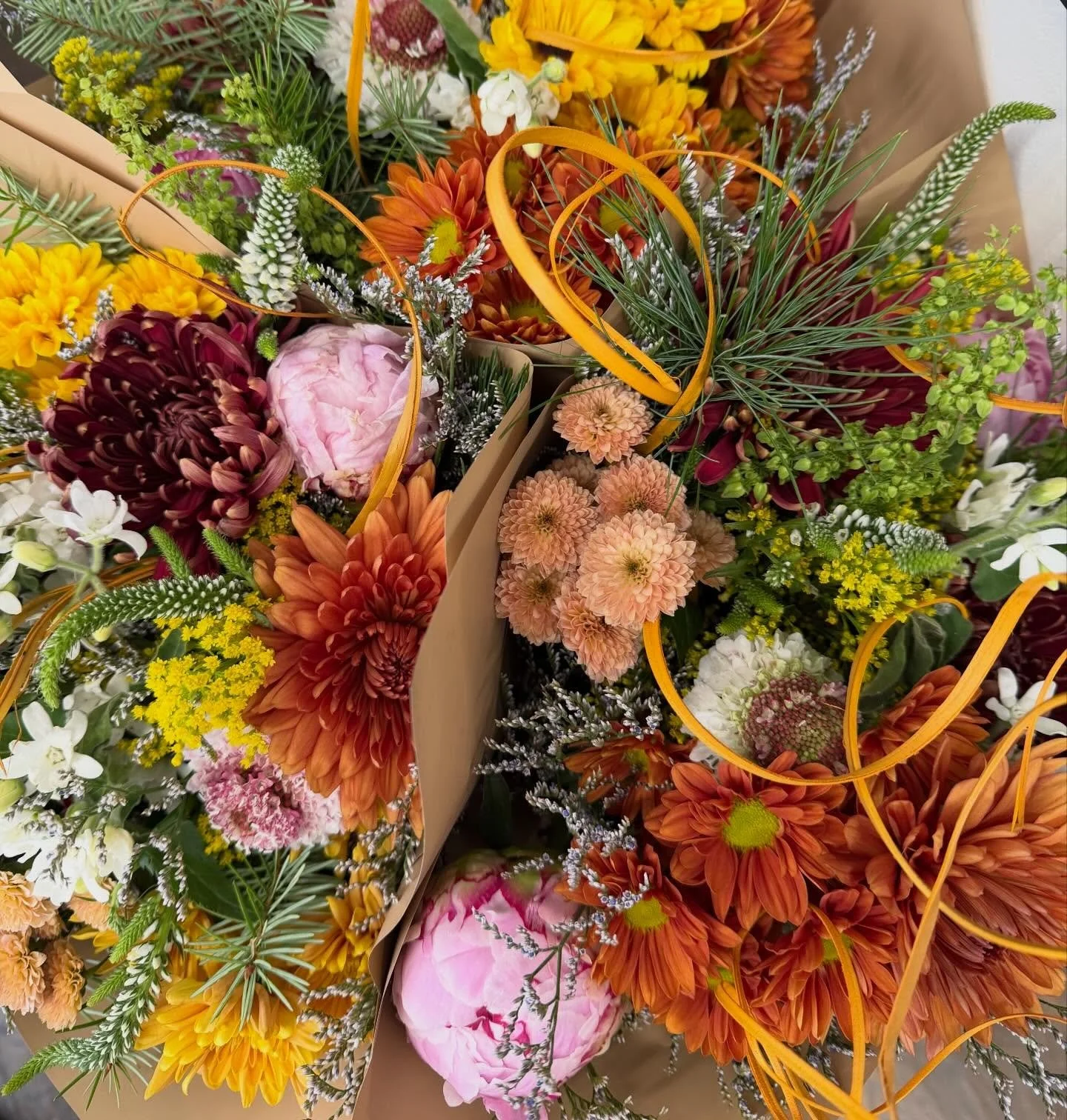Beautiful fresh blooms are in the shop today. Treat your holiday tablescape to something special.