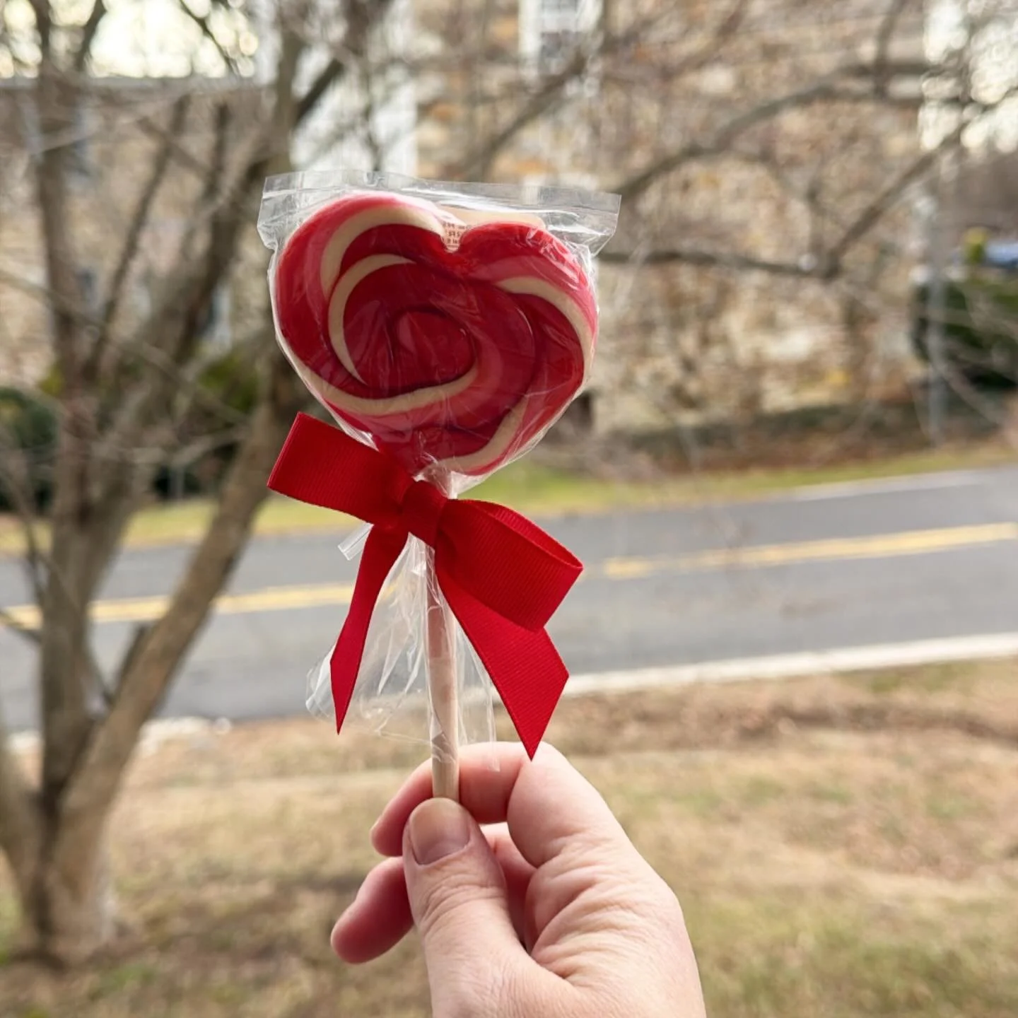 Only one month to go until Valentine&rsquo;s Day, my favorite holiday and my wedding anniversary with my husband!❤️❤️❤️