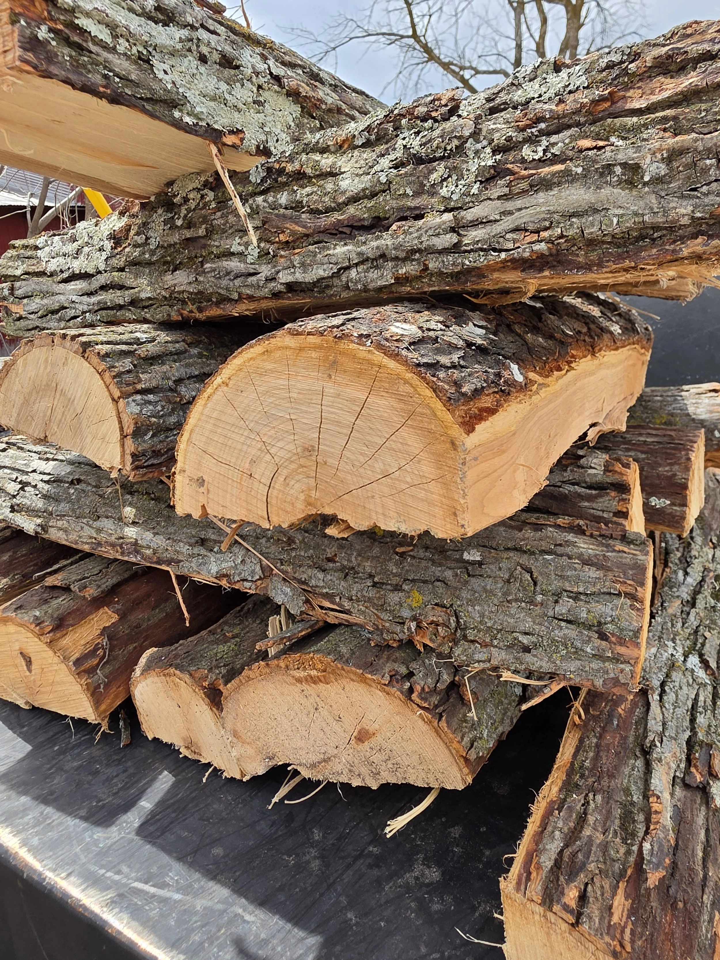 Stacked logs of split firewood with bark, moss, and lichen, on a metal surface outside, with bare trees in the background.
