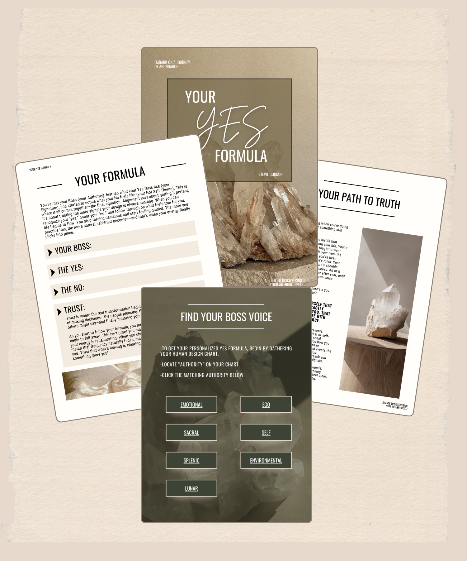 Copy of embrace + integrate.png