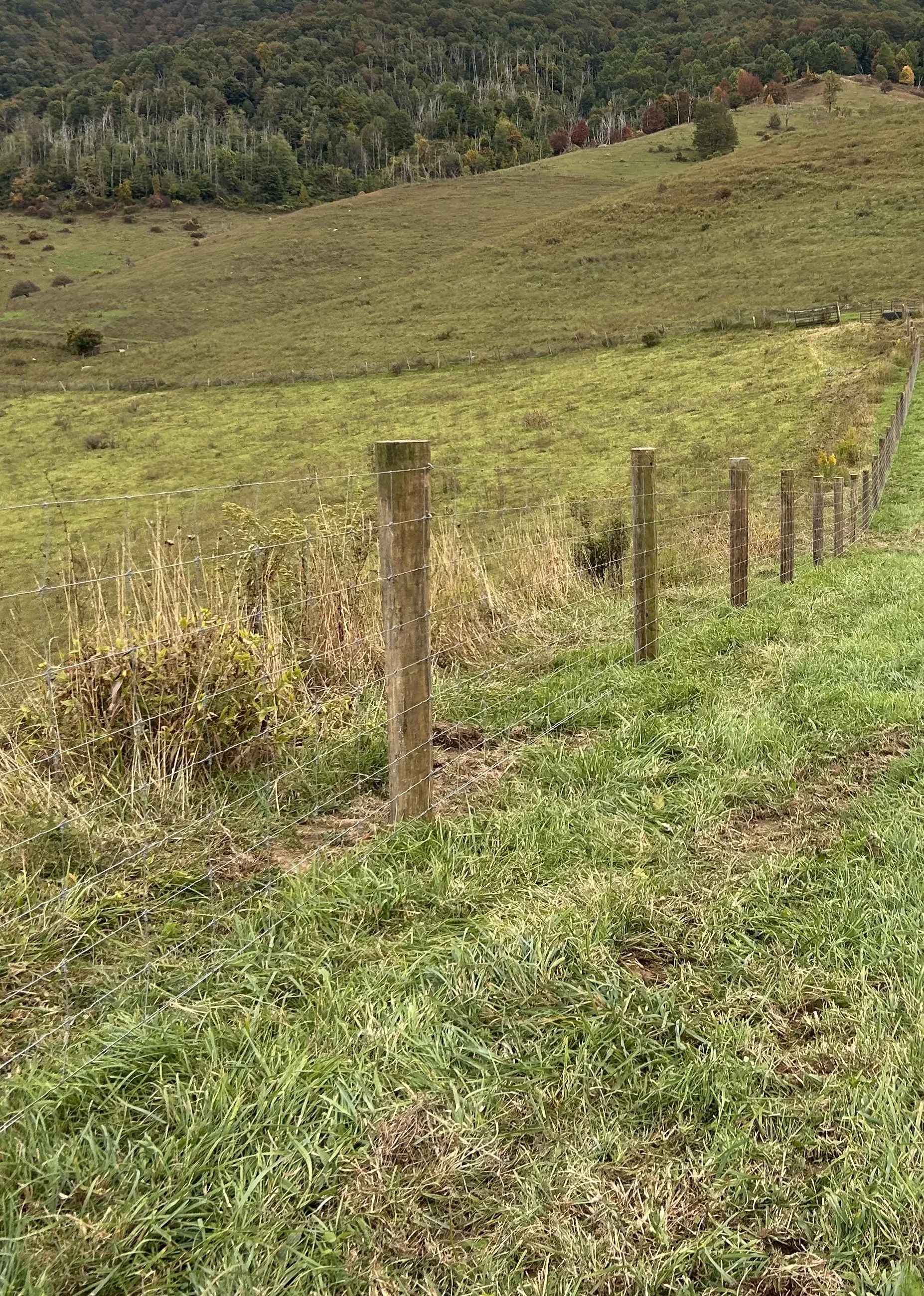 A grassy field separated by a barbed wire fence with wooden posts, rolling hills in the background, and a wooded area with trees showing fall colors.
