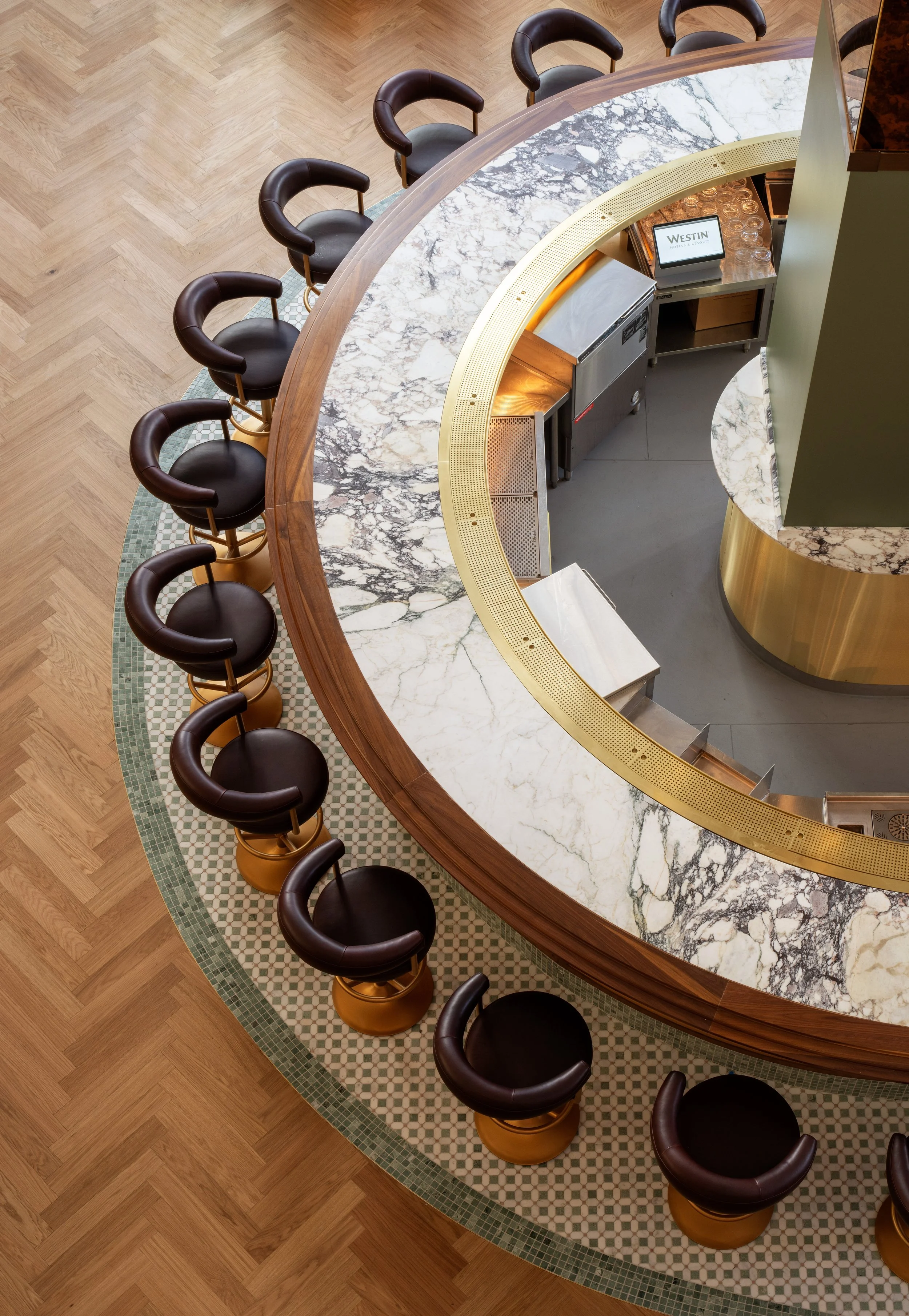 Dogwood Charlotte - Bar Curve from Above.jpg