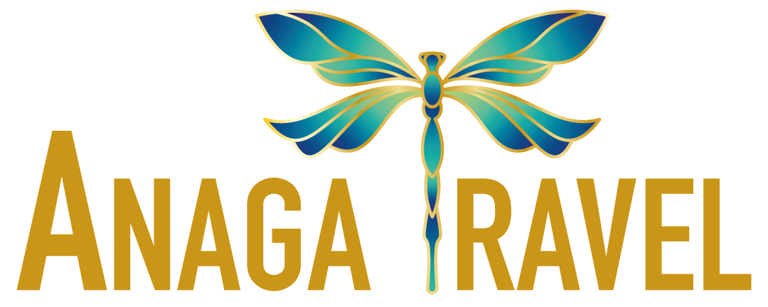 Un logo con una libélula azul y dorada sobre fondo transparente, acompañado de texto en español que dice 'Logoterapia y Análisis Existencial'