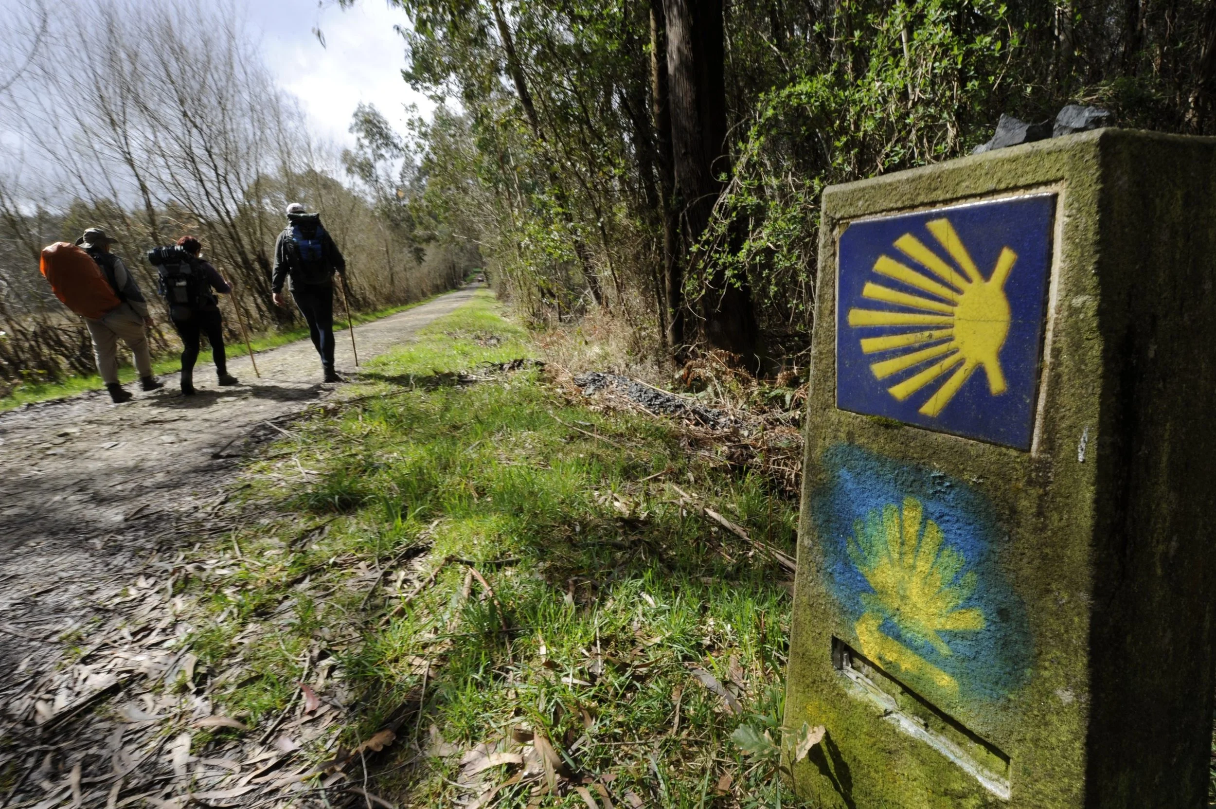 Camino de Santiago desde Tui